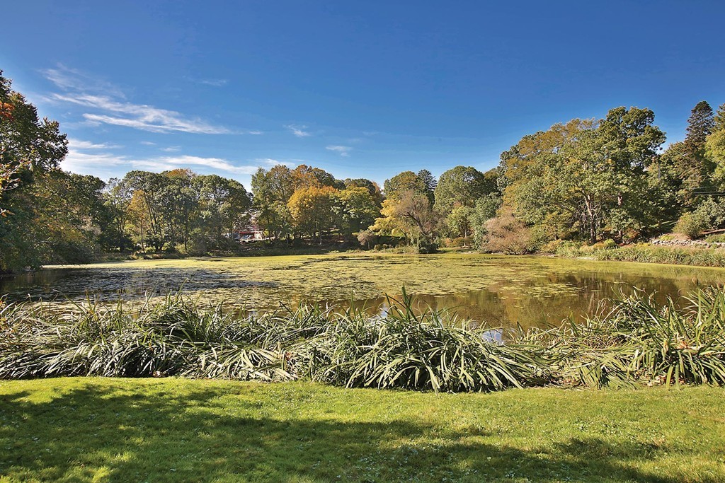 46 Sargent Crossway Brookline, MA 02445 - Photo 22 of 23