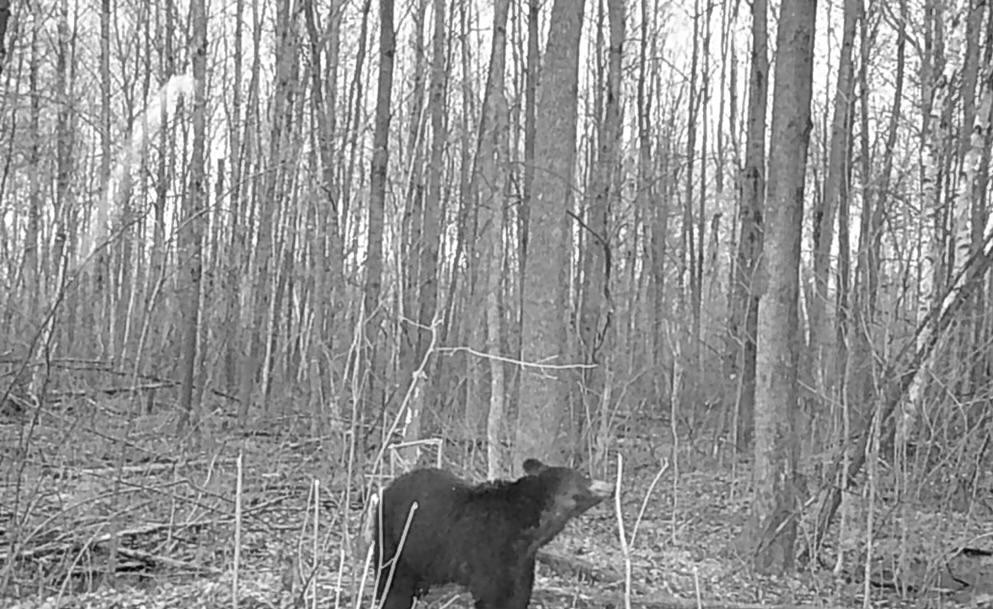 On On Cth H Sheldon, WI 54766 - Photo 7 of 10 Gallery Image 7