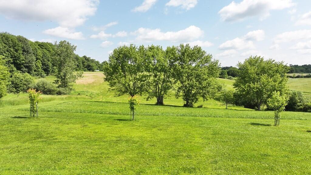 17619 Lower Fredericktown Amity Road Fredericktown, OH 43019 - Photo 6 of 36 9067247_5