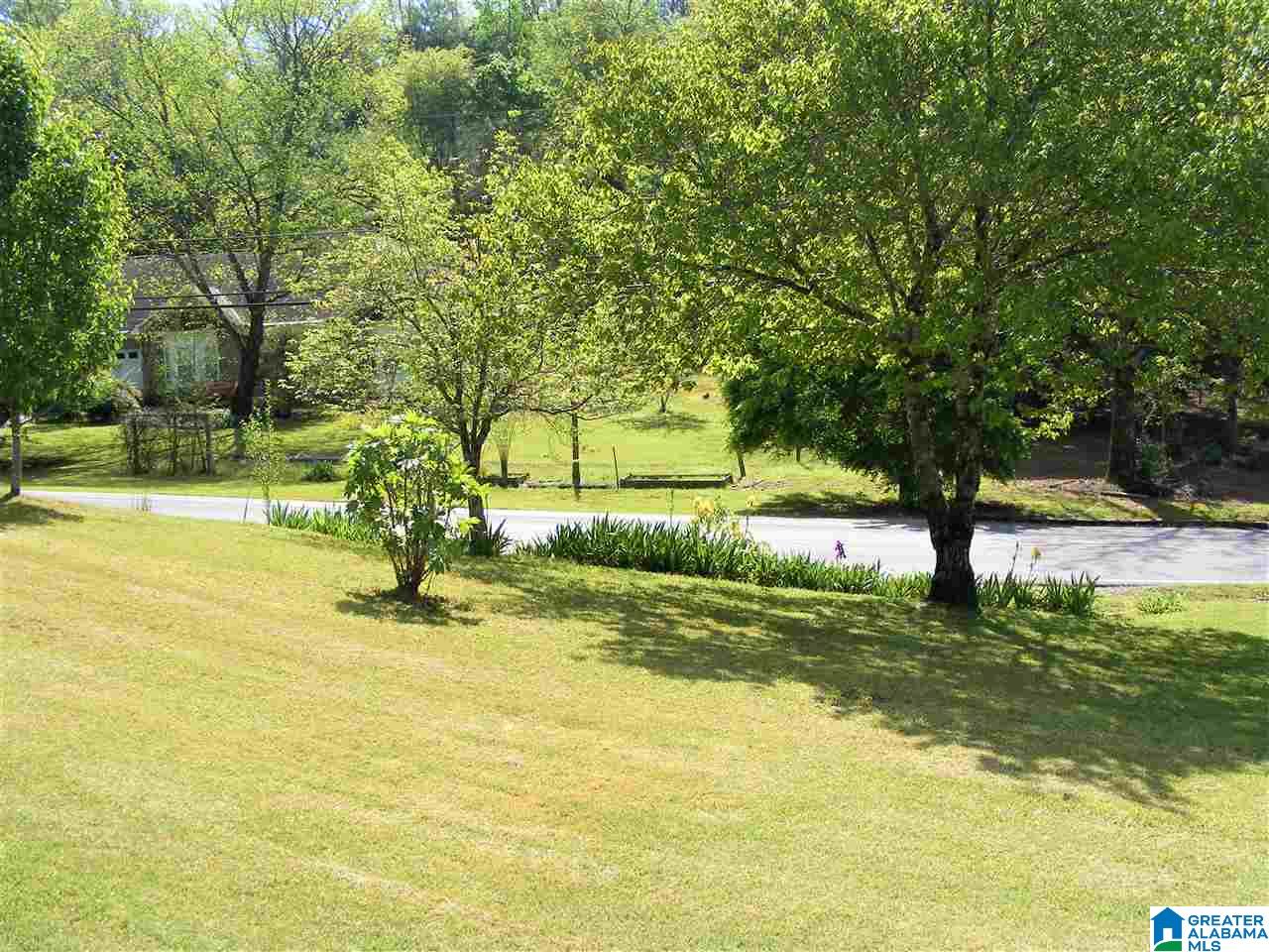6389 Tyler Loop Road Pinson, AL 35126 - Photo 4 of 31