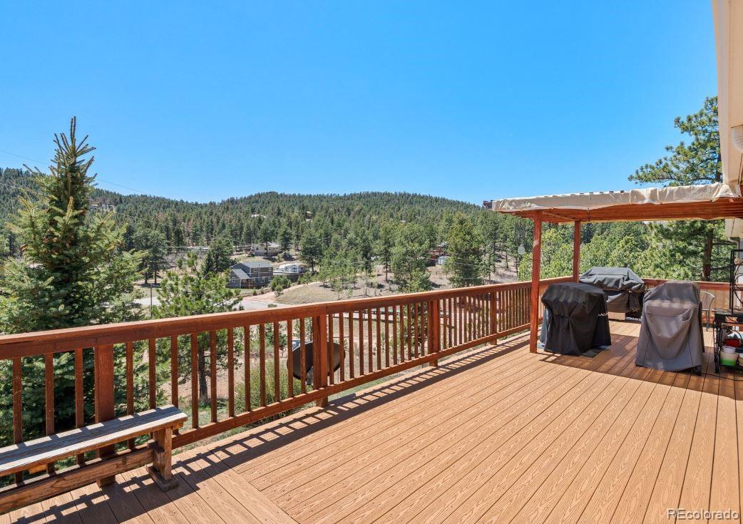 33626 Lutes Road Pine, CO 80470 - Photo 11 of 35