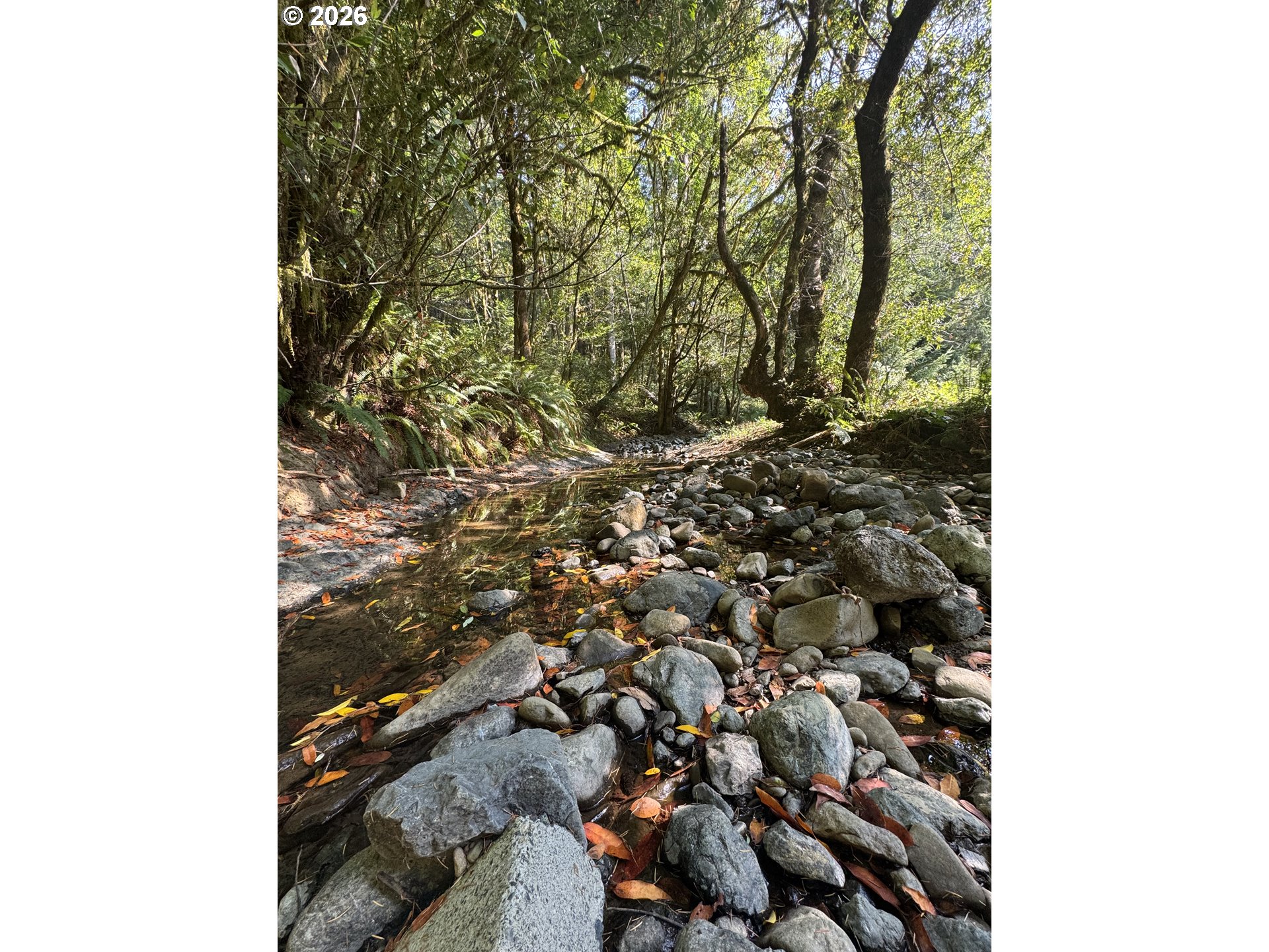 20191 Highway 42 Myrtle Point, OR 97458 - Photo 18 of 22