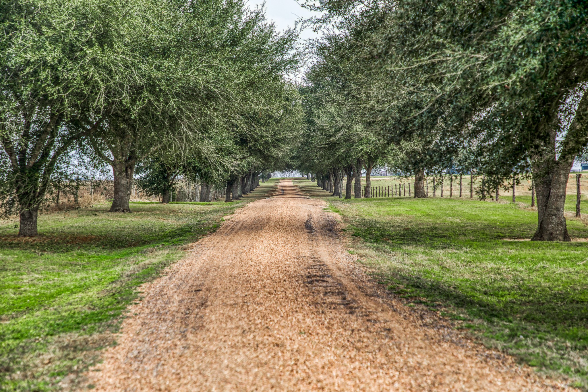 16450 Mathis Road Hockley, TX 77447 - Photo 39 of 39 a view of a park with large trees