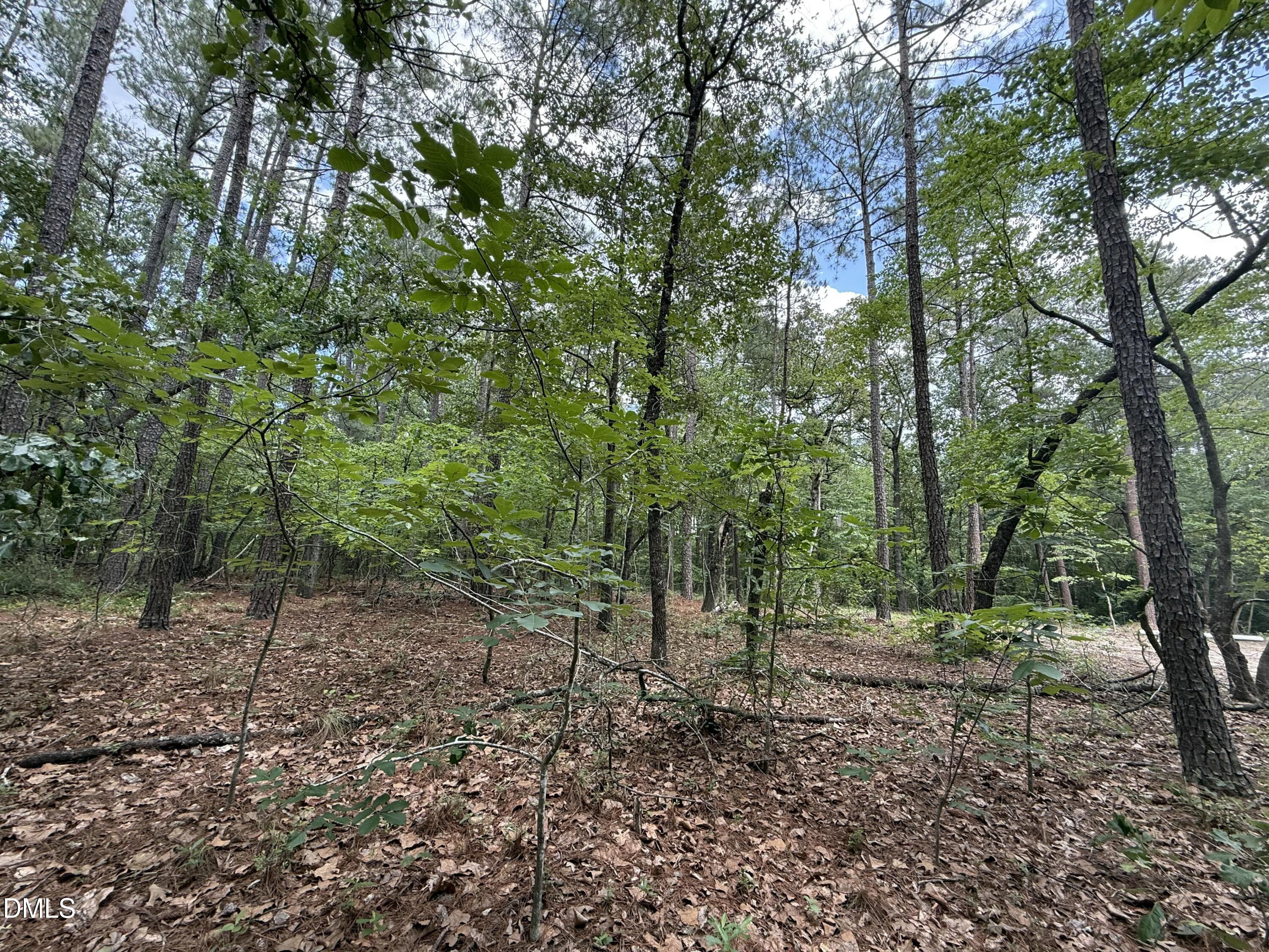0 Elfman Drive Spring Lake, NC 28390 - Photo 10 of 40 a view of a forest with trees in the background