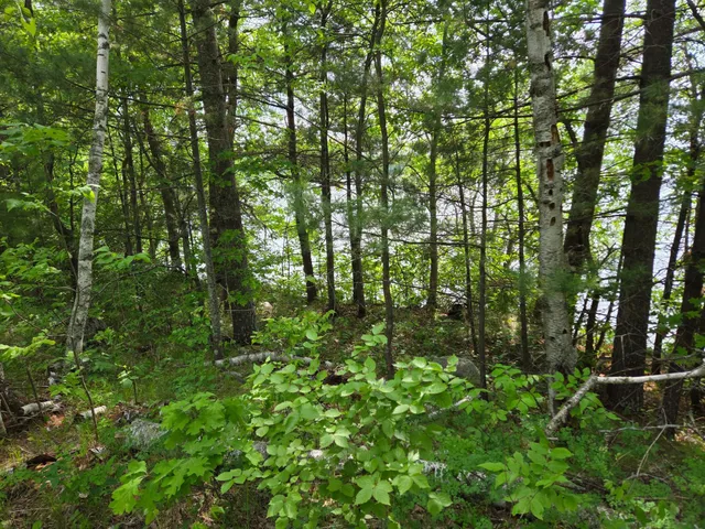 $475,000 | Tbd Andrusia Road Southeast, Unit LOT 4 BLOCK 1, Cass Lake, MN 56633