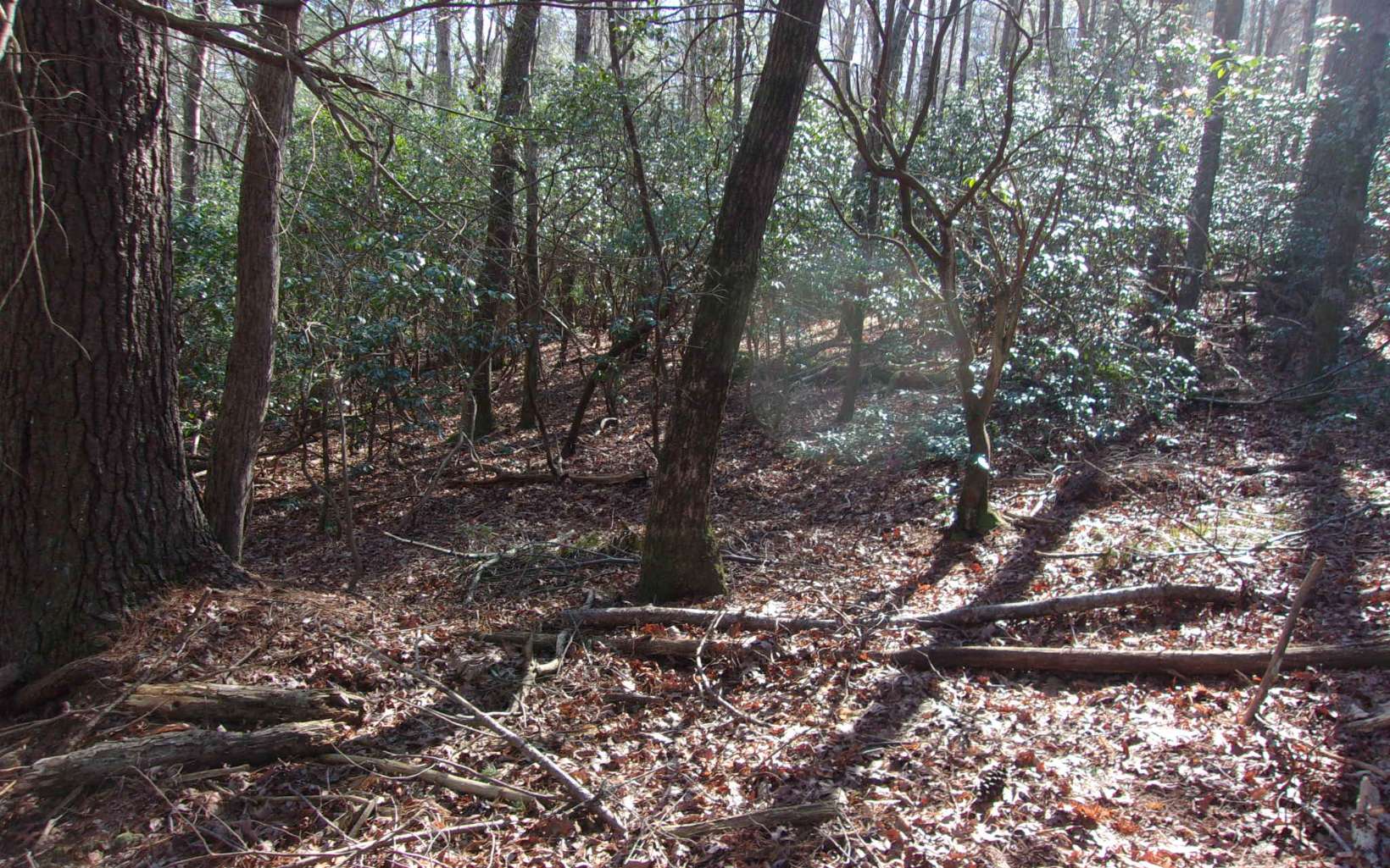 J260 Pine Ridge Road Ellijay, GA 30536 - Photo 7 of 19 Additional View