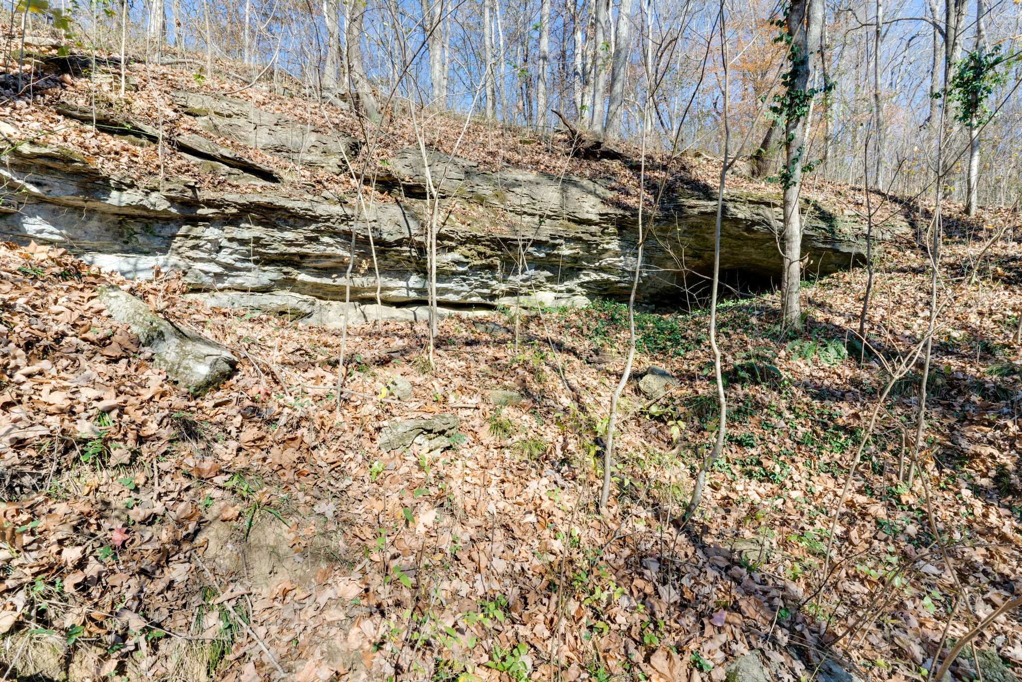 3738 Martins Chapel Road Springfield, TN 37172 - Photo 38 of 50 a view of outdoor space with wooden floor