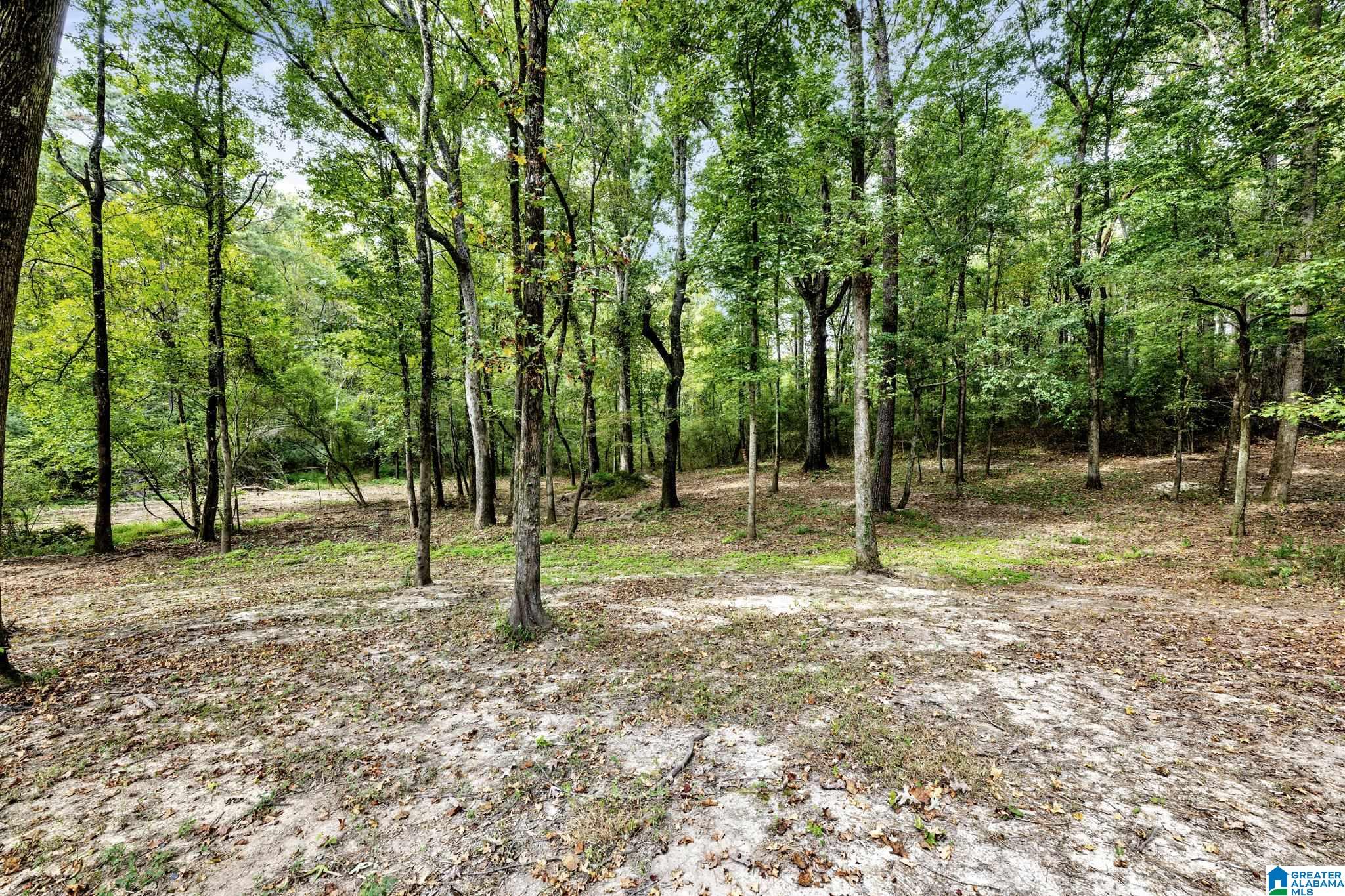 10120 County Line Road Dora, AL 35062 - Photo 9 of 25 Gallery Image 9