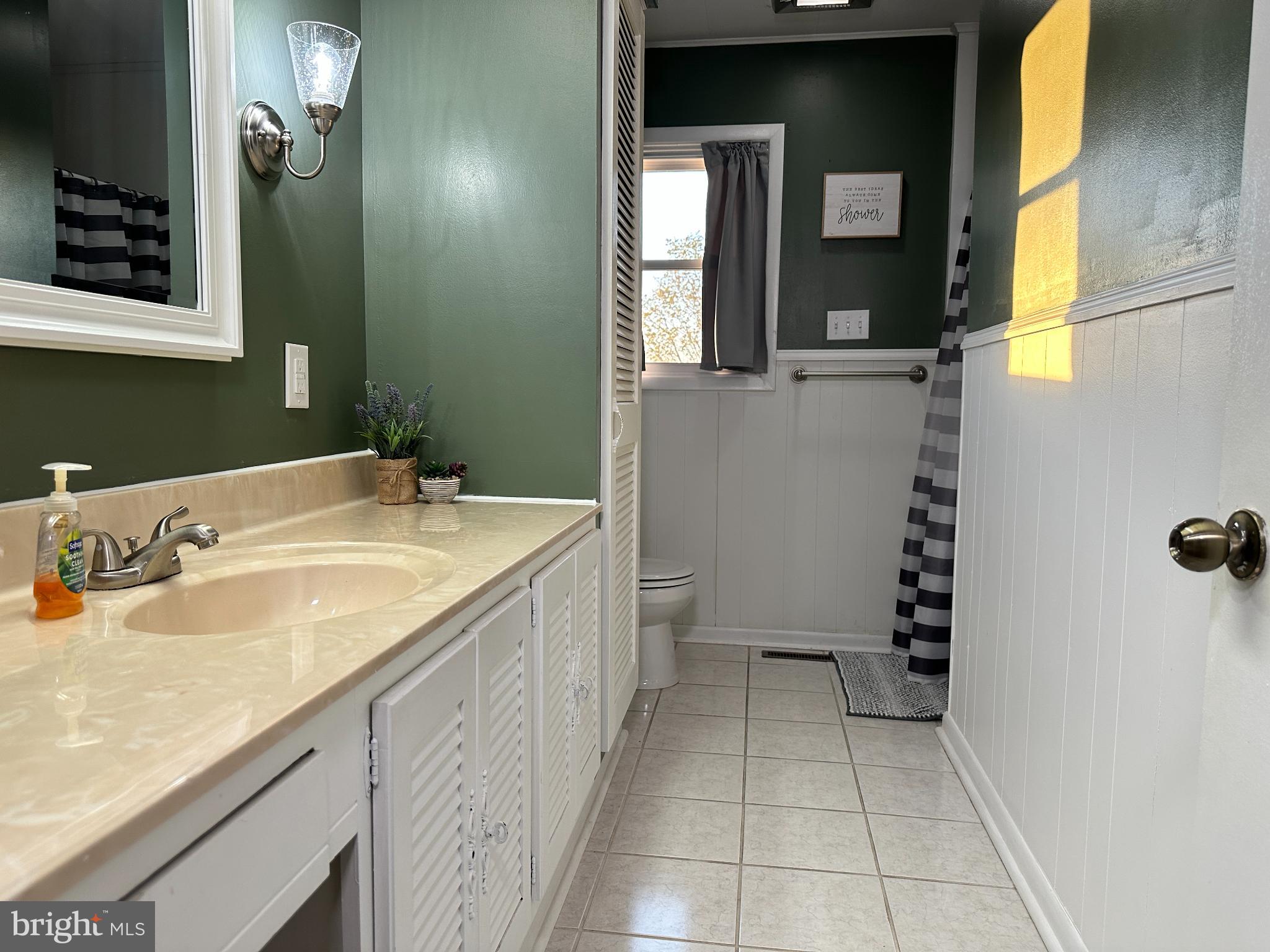 13644 Upper Corners Road Hesston, PA 16647 - Photo 11 of 28 Charming bathroom with rich green accents.