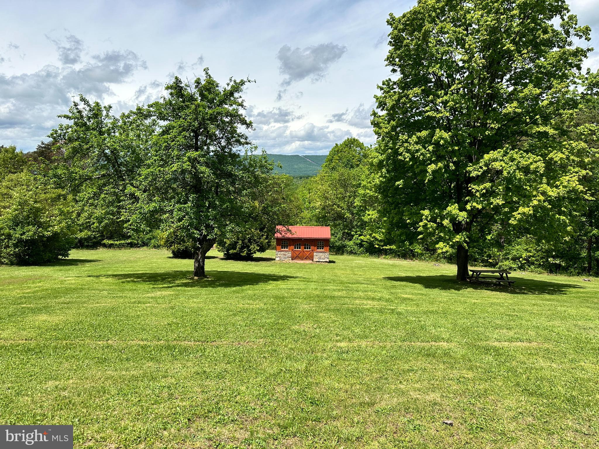 13644 Upper Corners Road Hesston, PA 16647 - Photo 28 of 28 Charming cabin nestled in lush greenery.