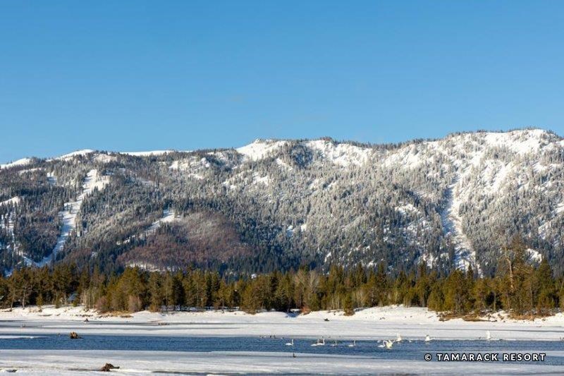 75 Ponderosa Ridge Donnelly, ID 83615 - Photo 58 of 60