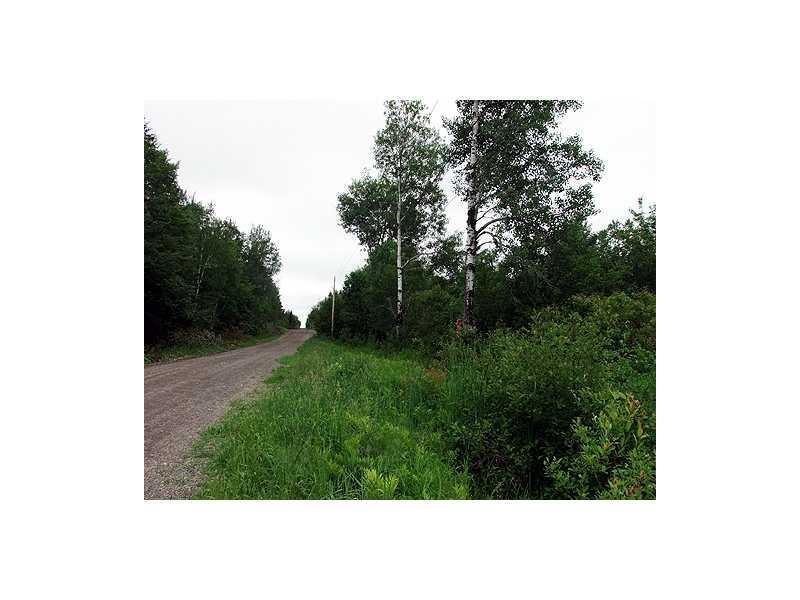 Lot 2 Tracy Road Amity, ME 04471 - Photo 3 of 4 Land.