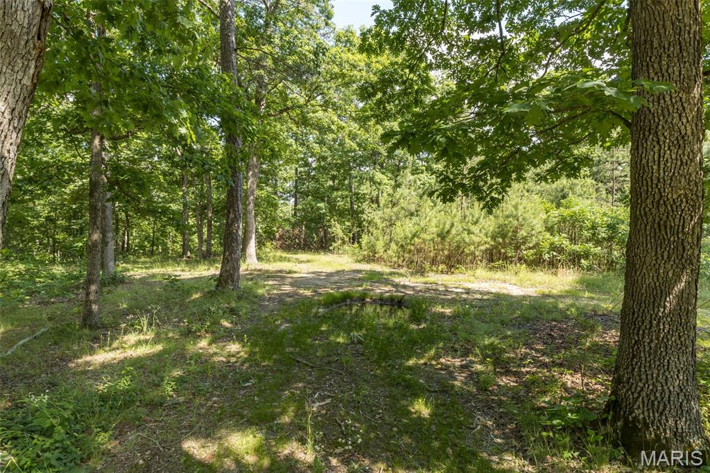 10130 Fish Hook Road Potosi, MO 63664 - Photo 8 of 29