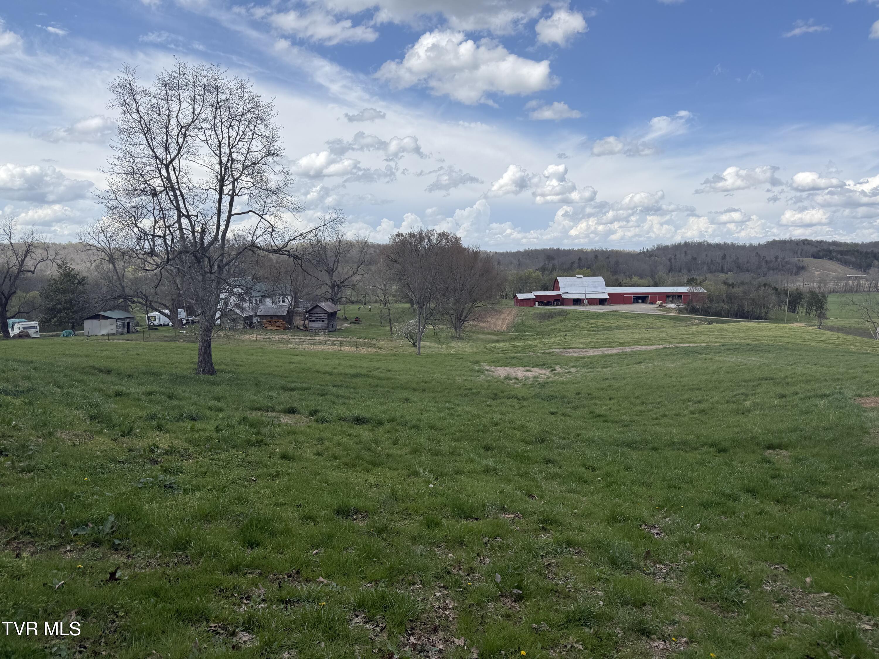 12315 Warrensburg Road Midway, TN 37809 - Photo 28 of 99 _Pic28