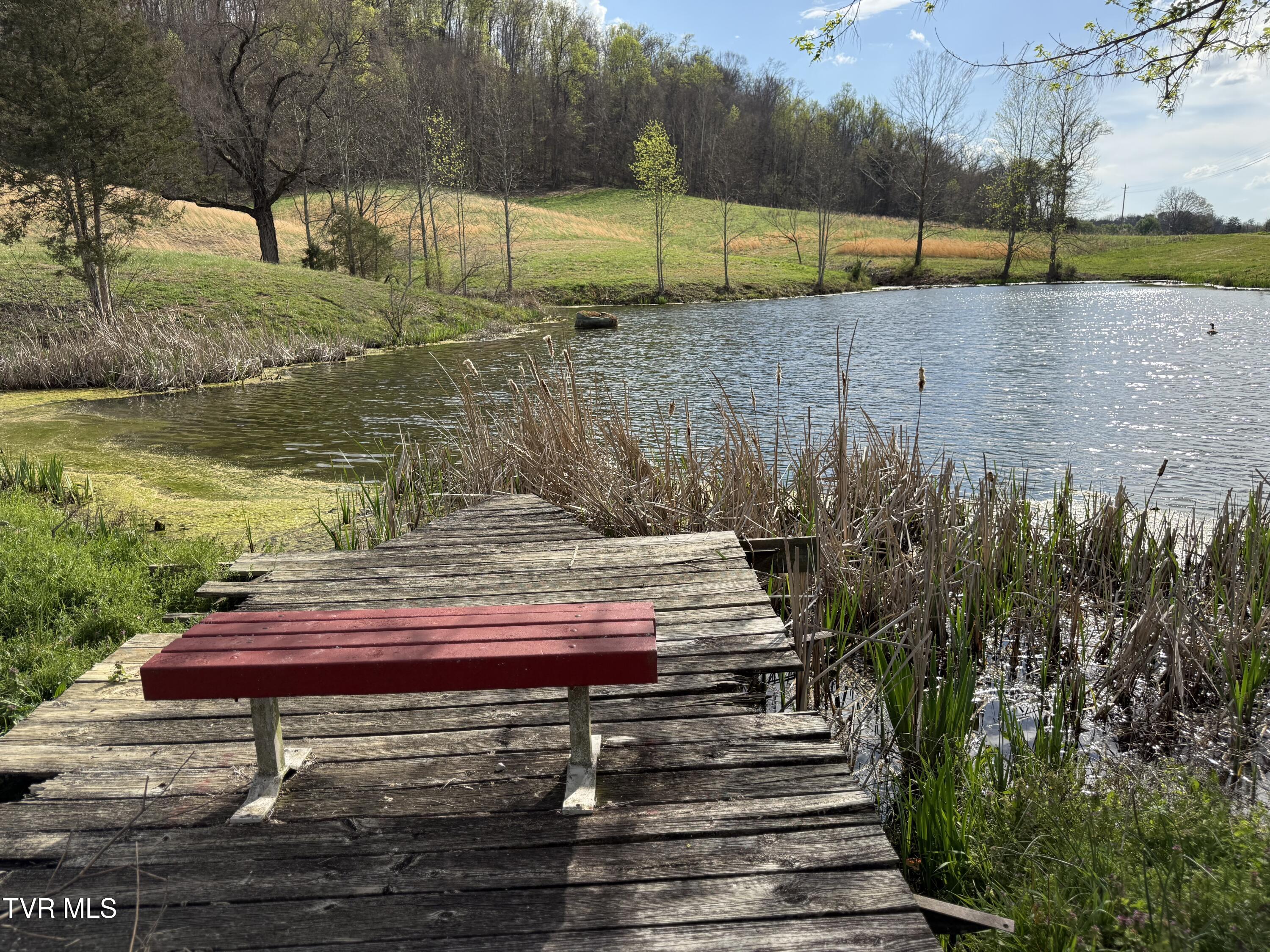 12315 Warrensburg Road Midway, TN 37809 - Photo 31 of 99 _Pic31