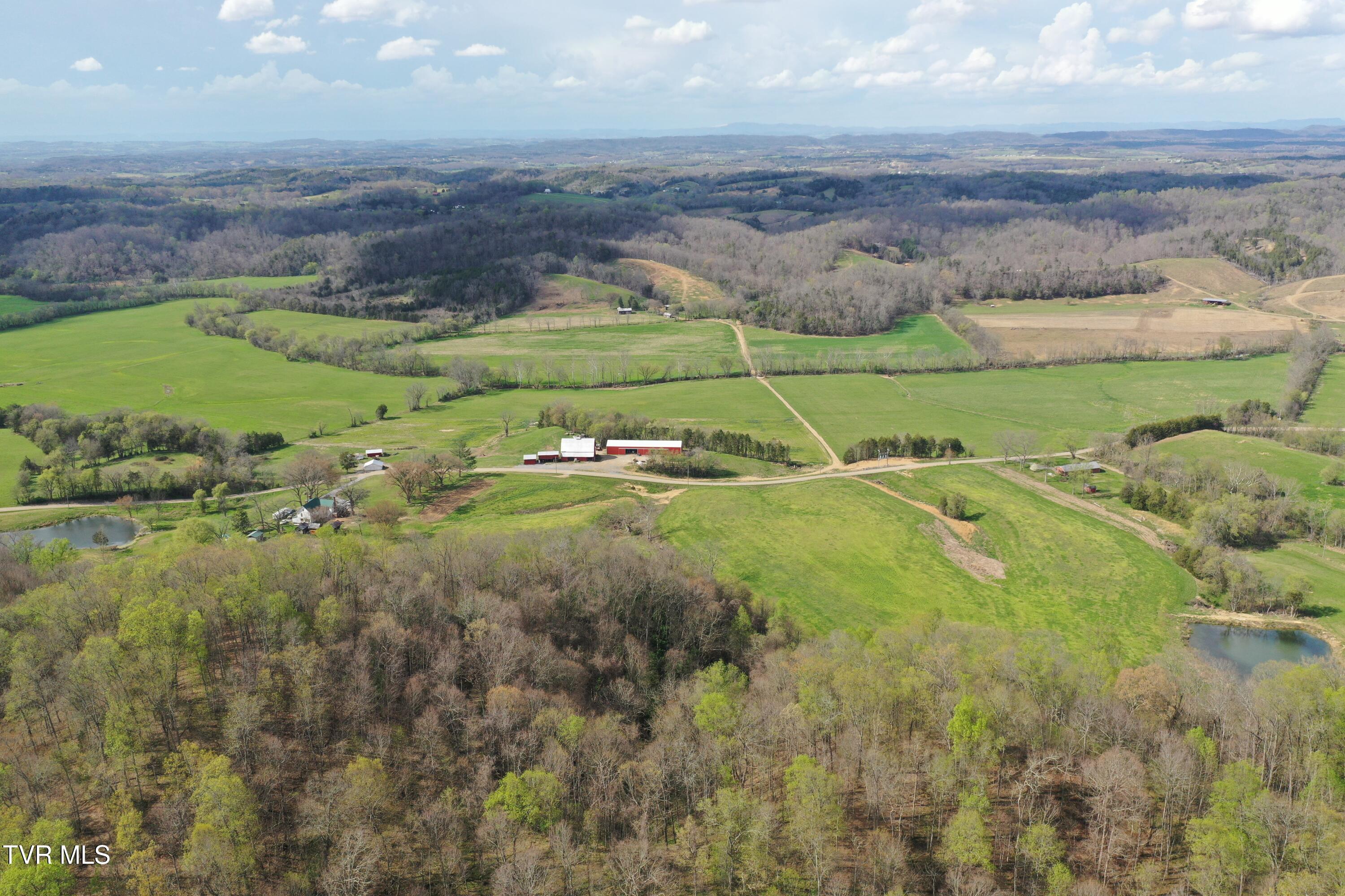 12315 Warrensburg Road Midway, TN 37809 - Photo 39 of 99 _Pic39