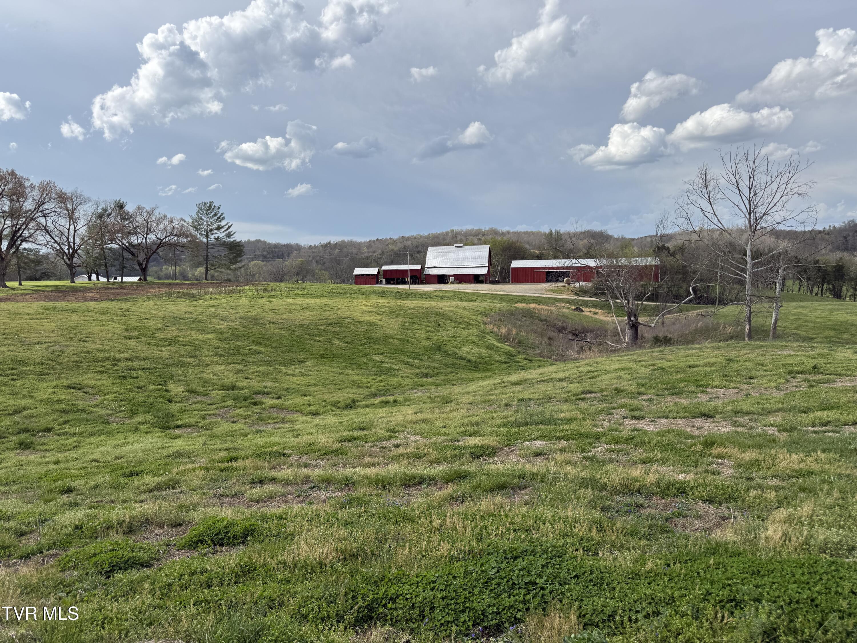 12315 Warrensburg Road Midway, TN 37809 - Photo 40 of 99 _Pic40