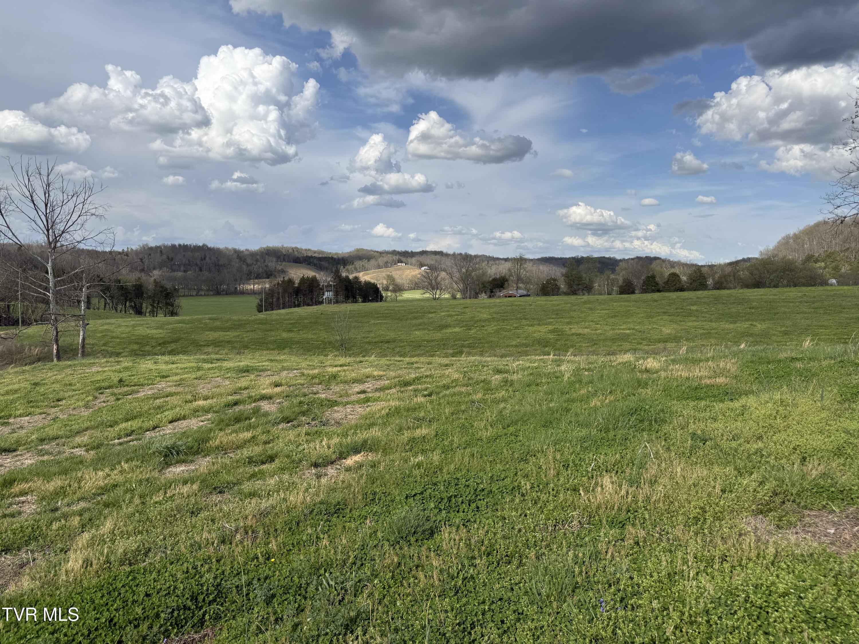 12315 Warrensburg Road Midway, TN 37809 - Photo 41 of 99 _Pic41