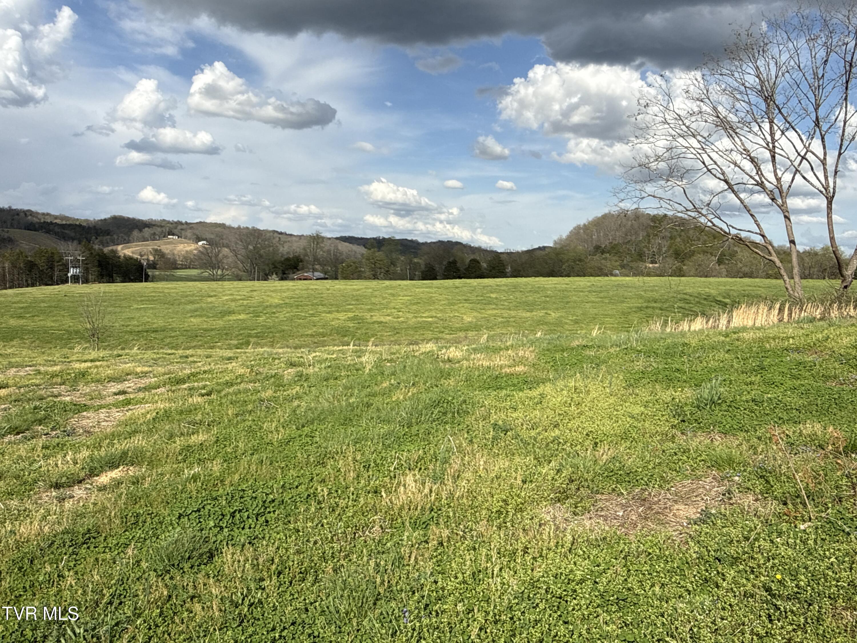 12315 Warrensburg Road Midway, TN 37809 - Photo 43 of 99 _Pic43