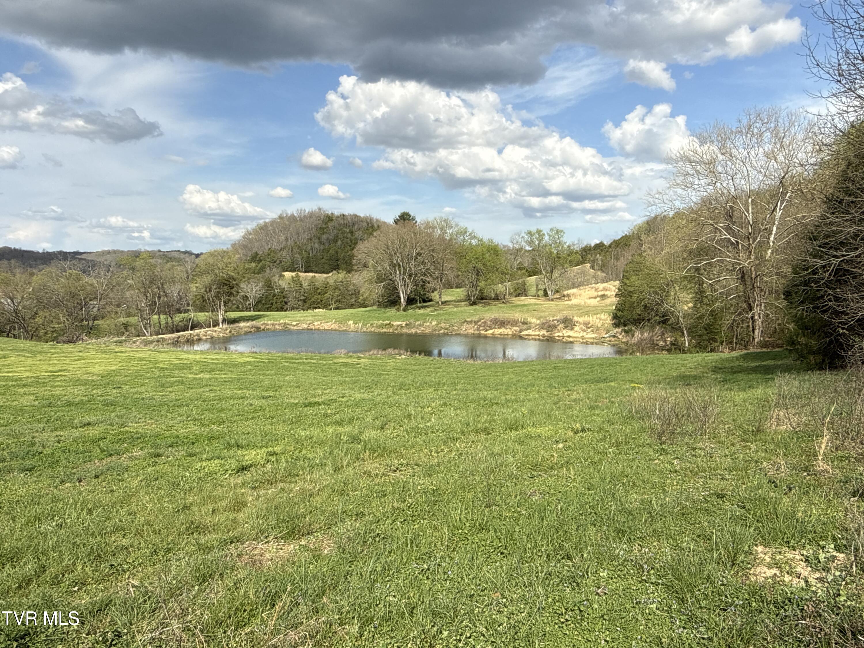 12315 Warrensburg Road Midway, TN 37809 - Photo 44 of 99 _Pic44