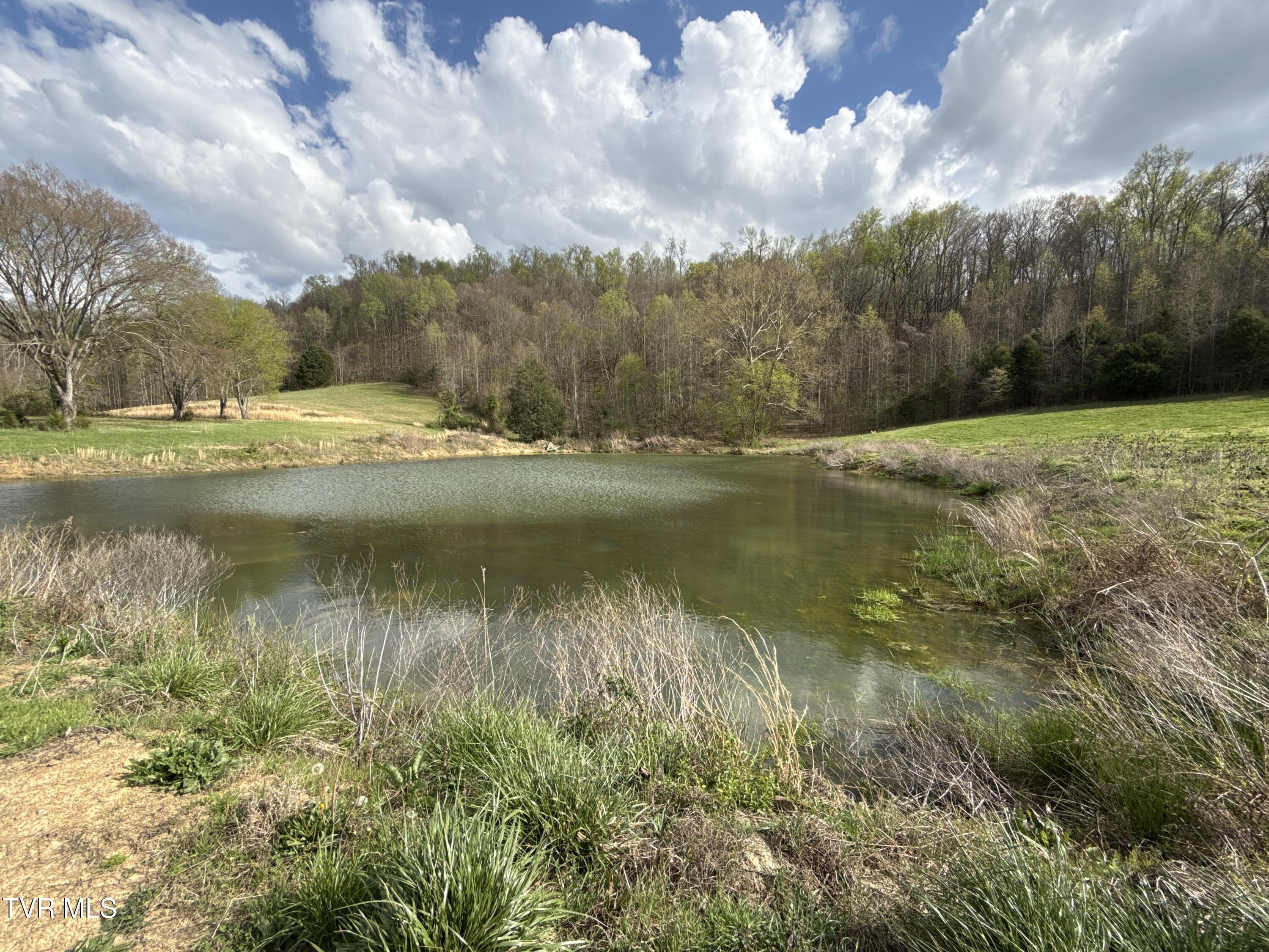 12315 Warrensburg Road Midway, TN 37809 - Photo 45 of 99 _Pic45