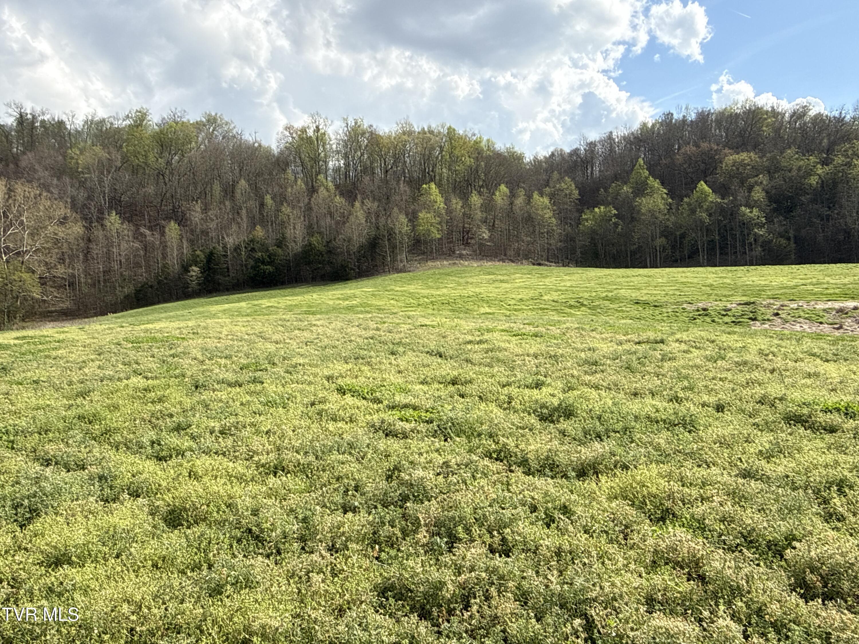 12315 Warrensburg Road Midway, TN 37809 - Photo 46 of 99 _Pic46