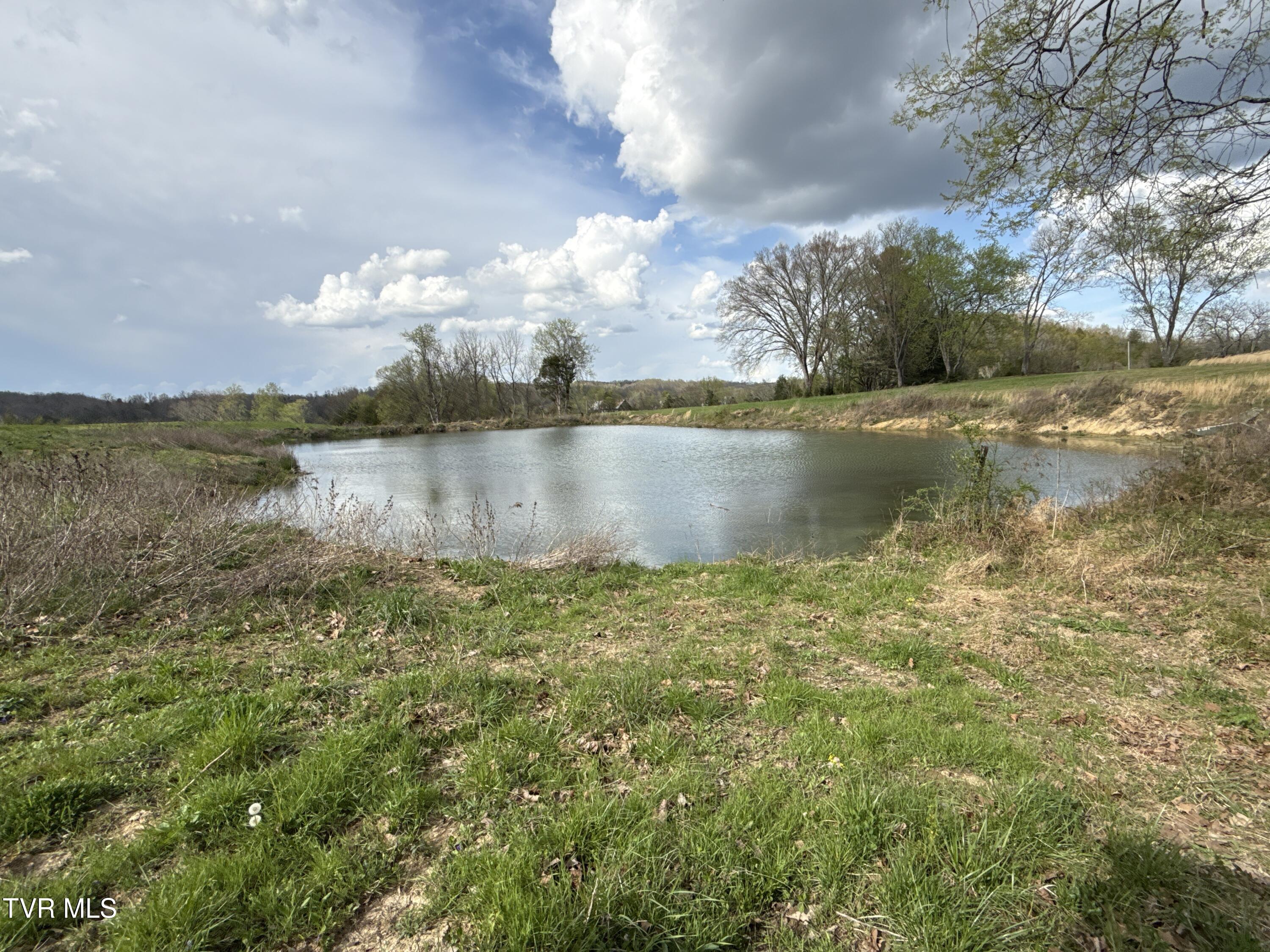 12315 Warrensburg Road Midway, TN 37809 - Photo 47 of 99 _Pic47