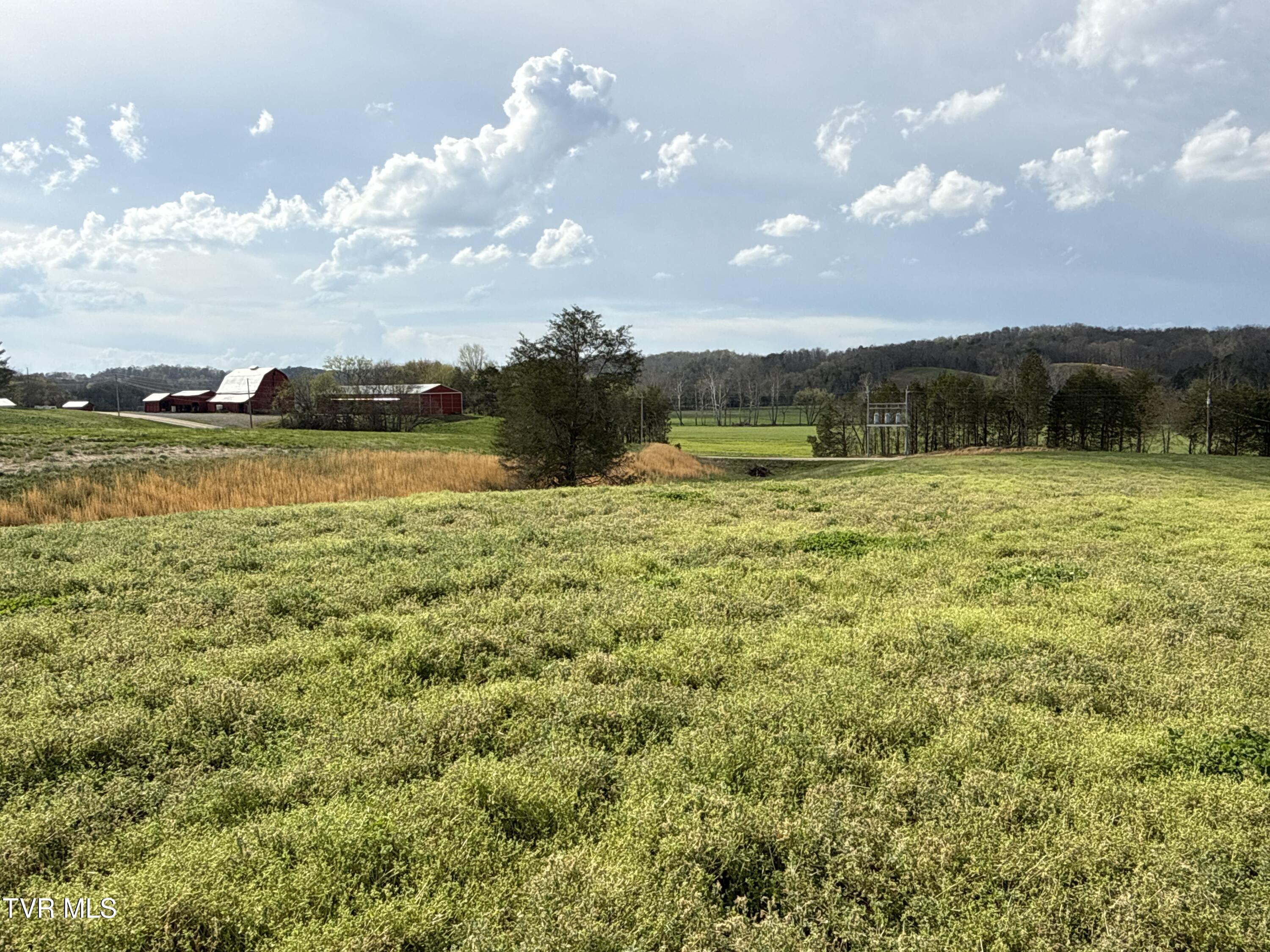 12315 Warrensburg Road Midway, TN 37809 - Photo 48 of 99 _Pic48