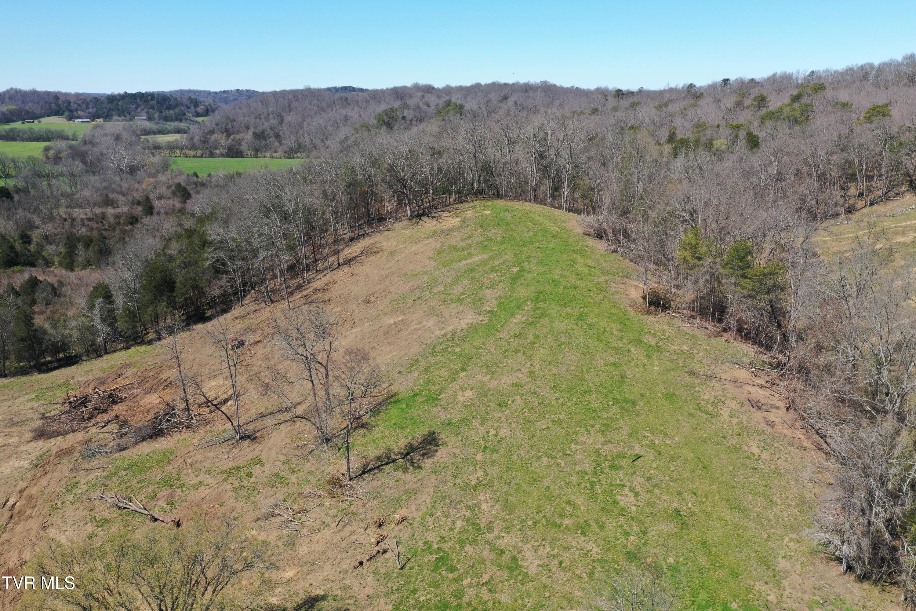 12315 Warrensburg Road Midway, TN 37809 - Photo 79 of 99 _Pic78