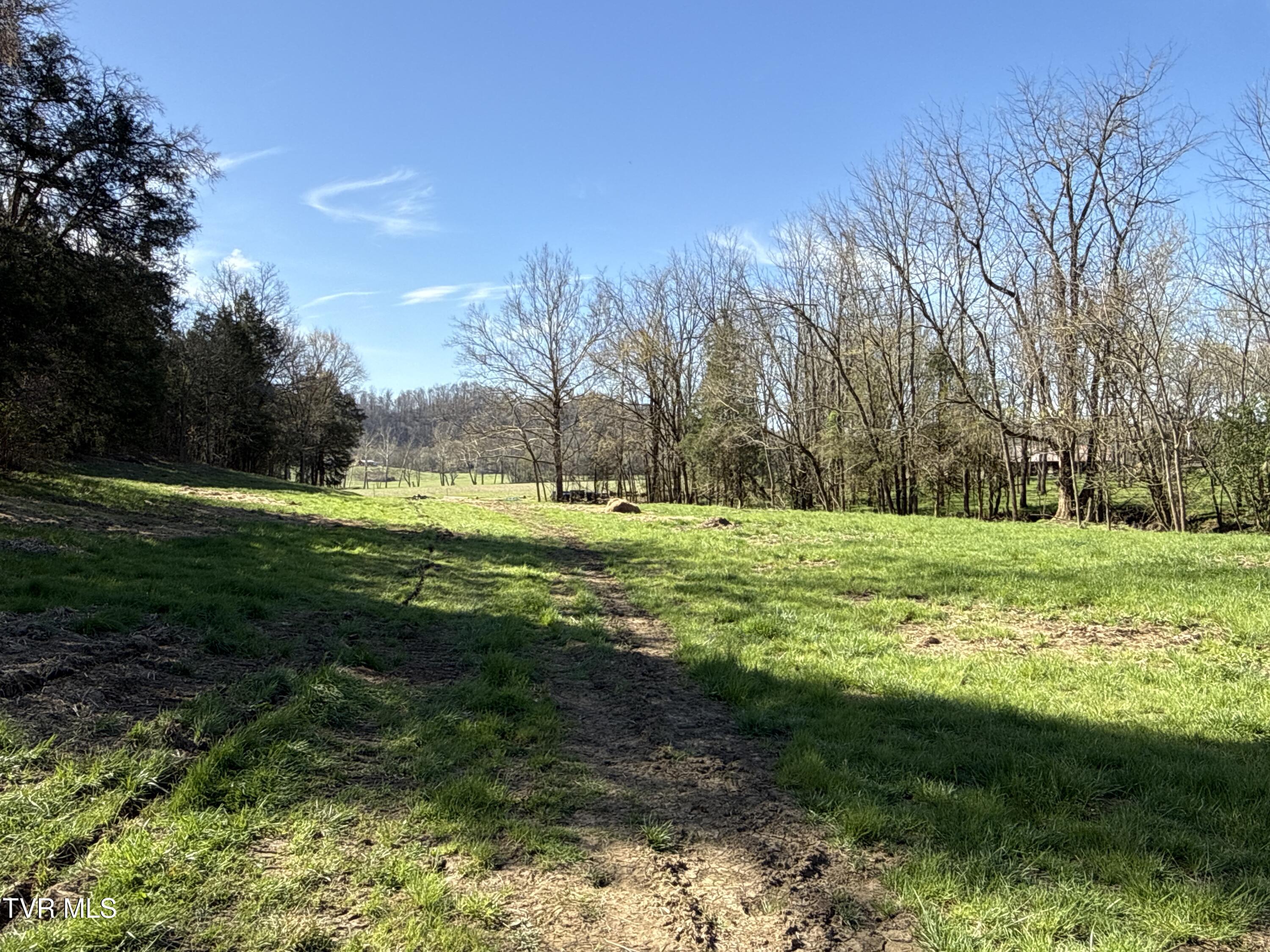 12315 Warrensburg Road Midway, TN 37809 - Photo 81 of 99 _Pic80