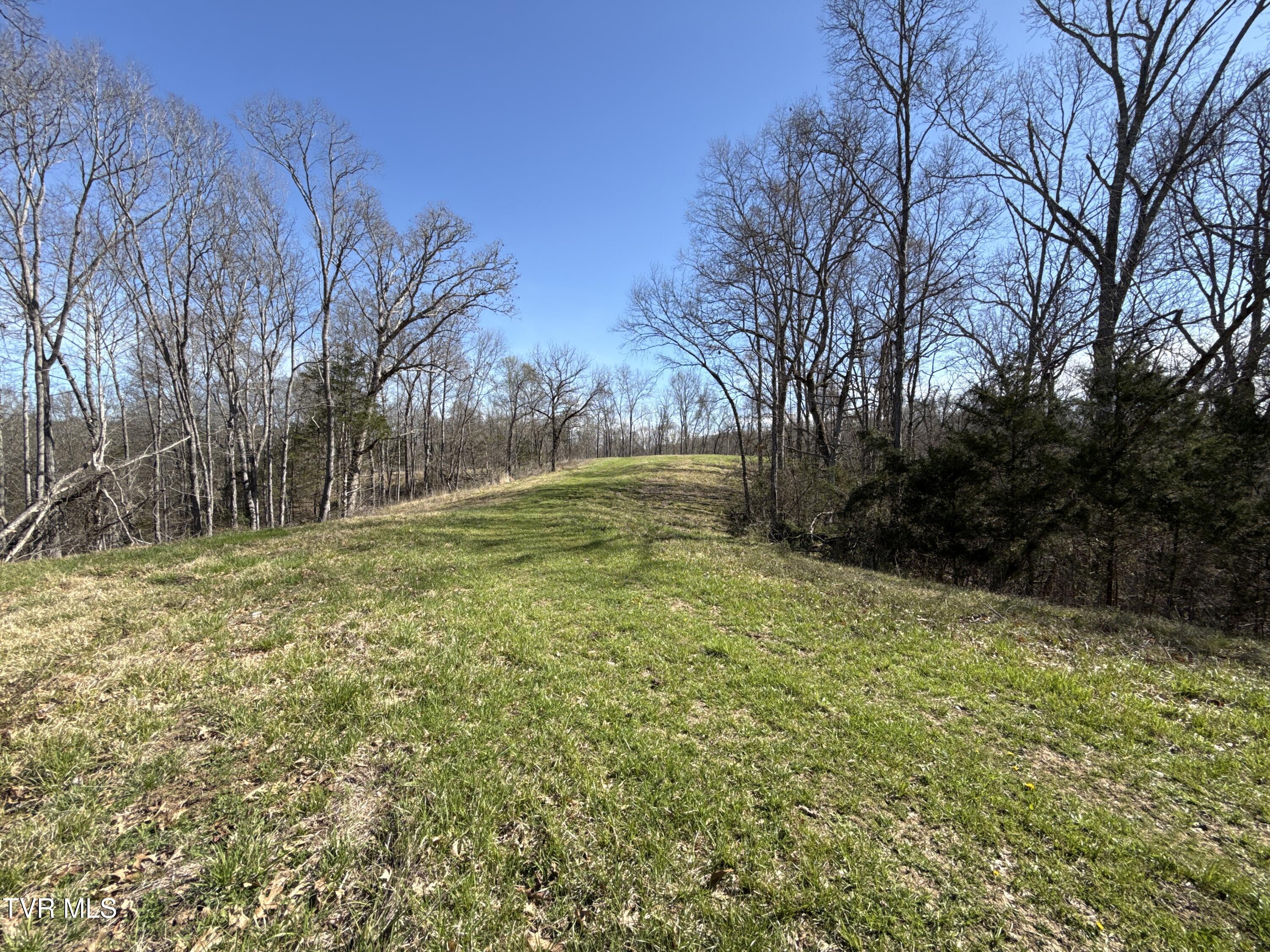 12315 Warrensburg Road Midway, TN 37809 - Photo 83 of 99 _Pic82