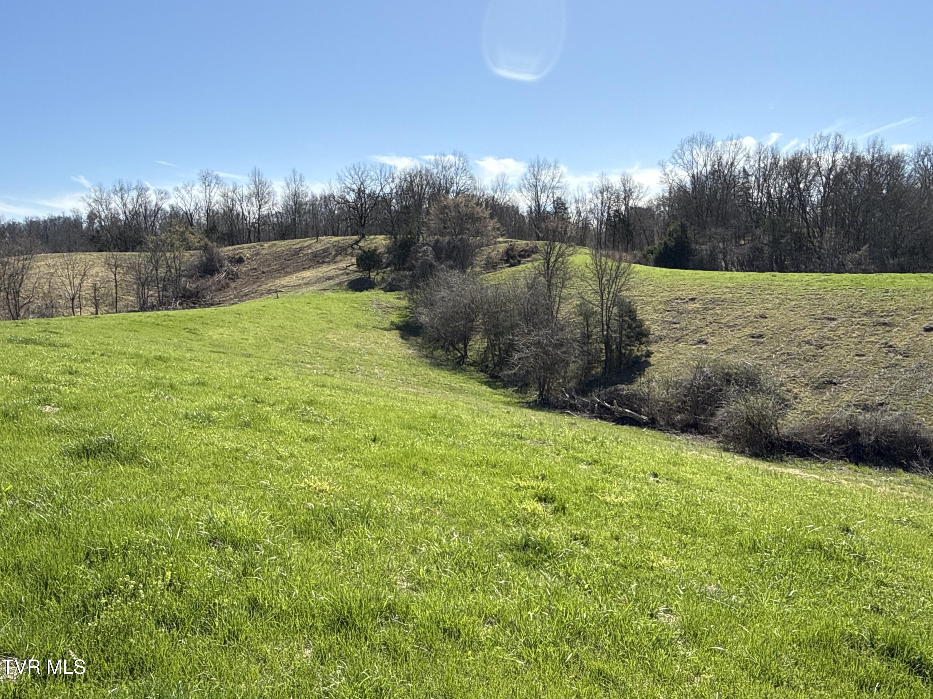 12315 Warrensburg Road Midway, TN 37809 - Photo 84 of 99 _Pic83