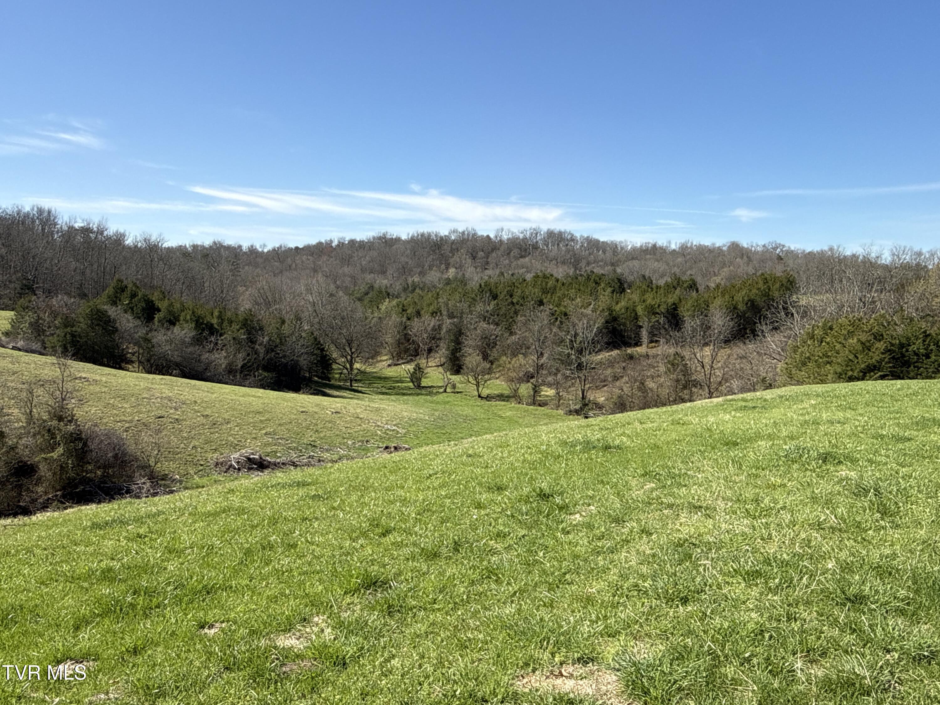 12315 Warrensburg Road Midway, TN 37809 - Photo 85 of 99 _Pic84