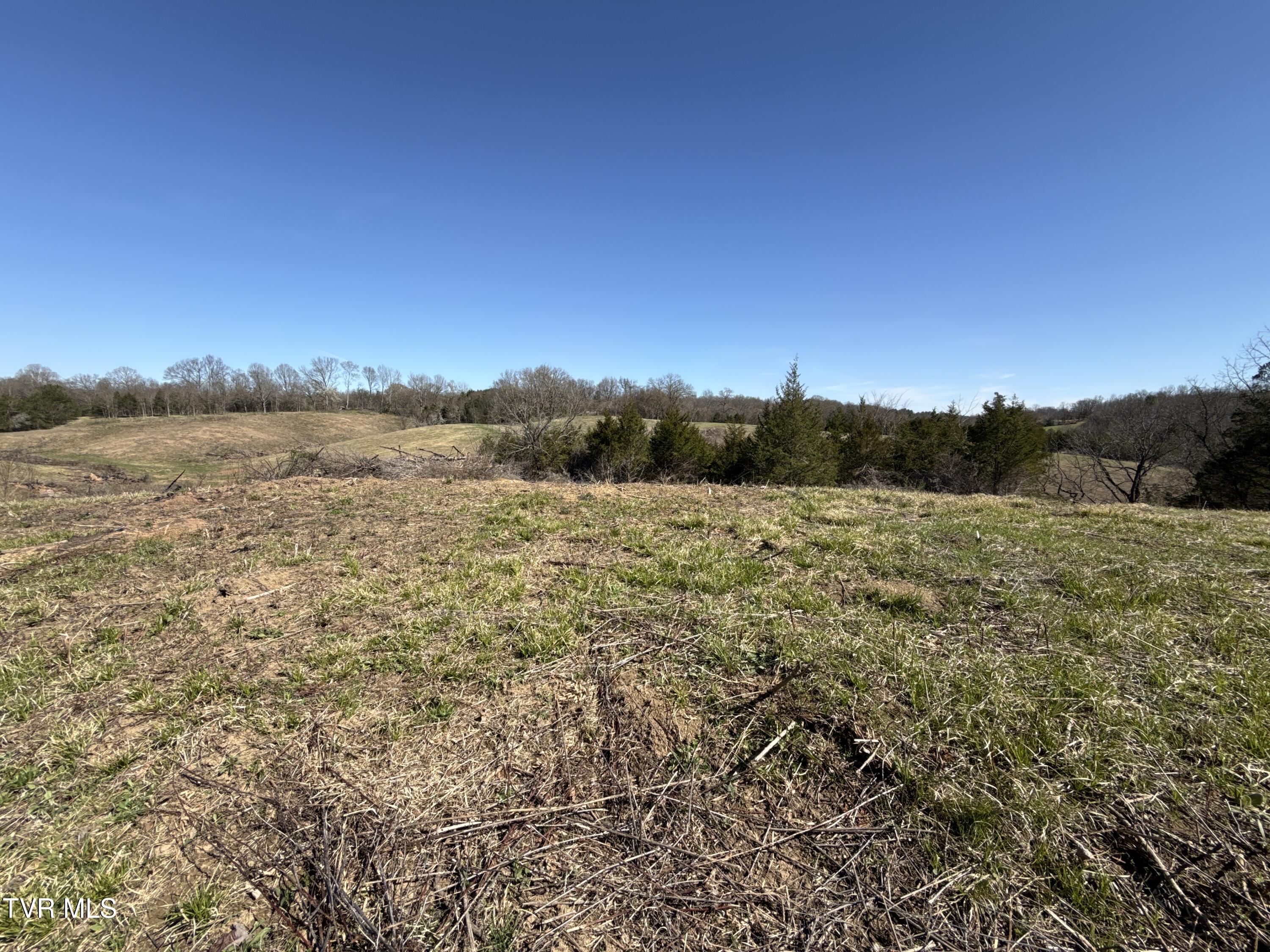 12315 Warrensburg Road Midway, TN 37809 - Photo 89 of 99 _Pic88