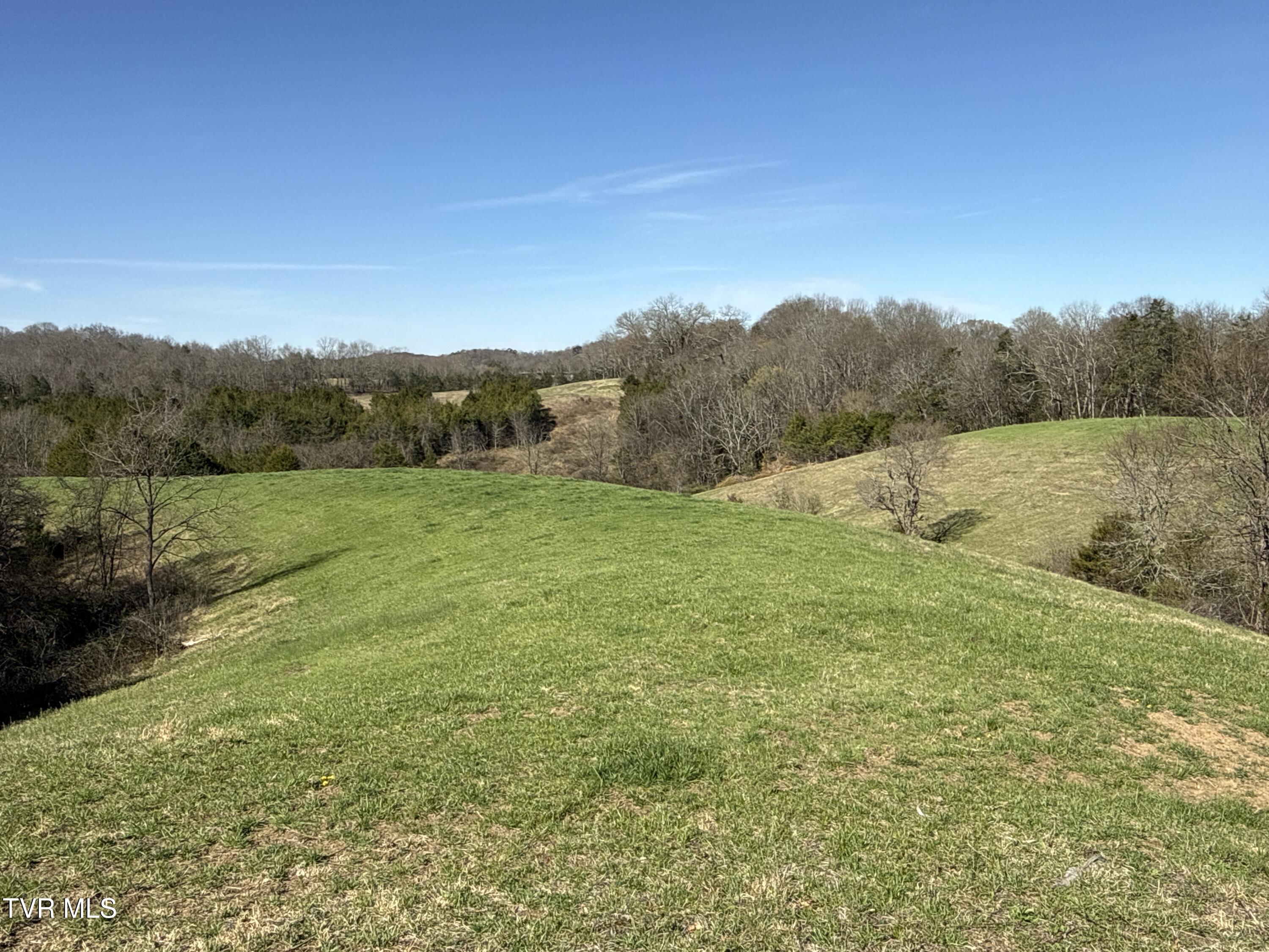 12315 Warrensburg Road Midway, TN 37809 - Photo 90 of 99 _Pic89