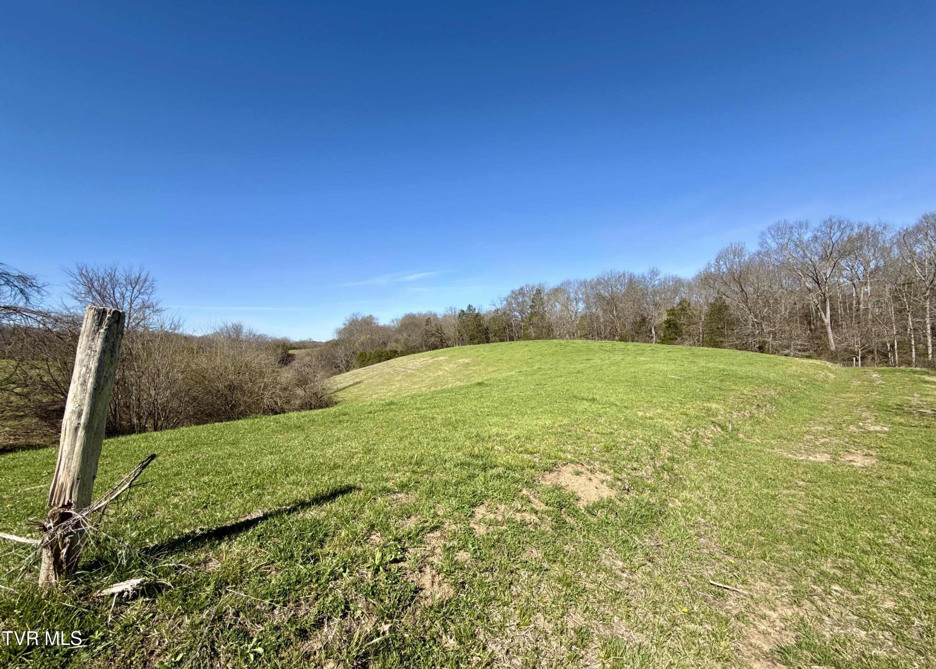 12315 Warrensburg Road Midway, TN 37809 - Photo 91 of 99 _Pic90