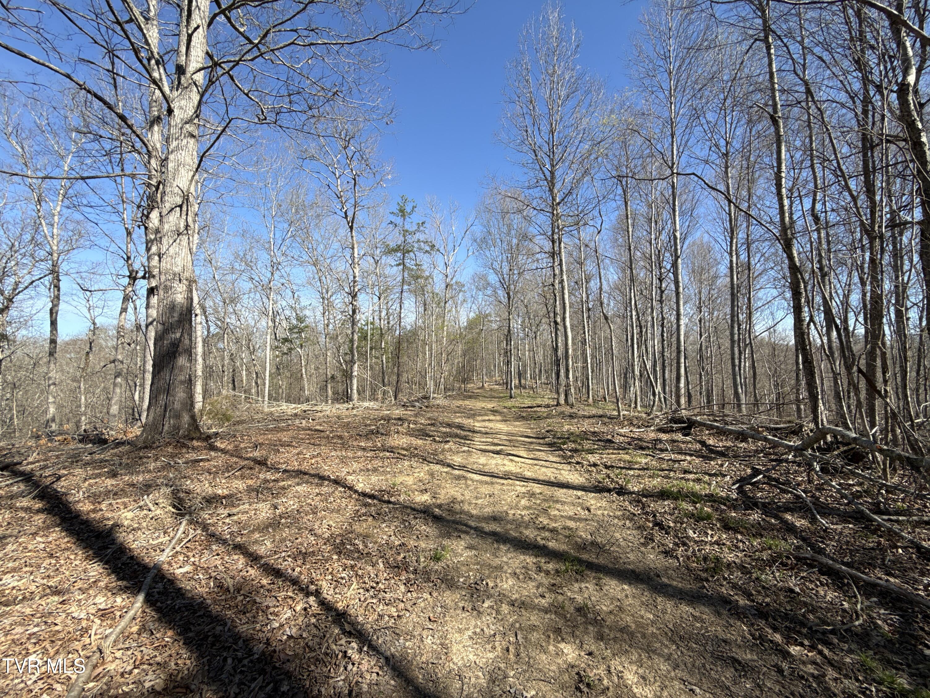 12315 Warrensburg Road Midway, TN 37809 - Photo 92 of 99 _Pic91