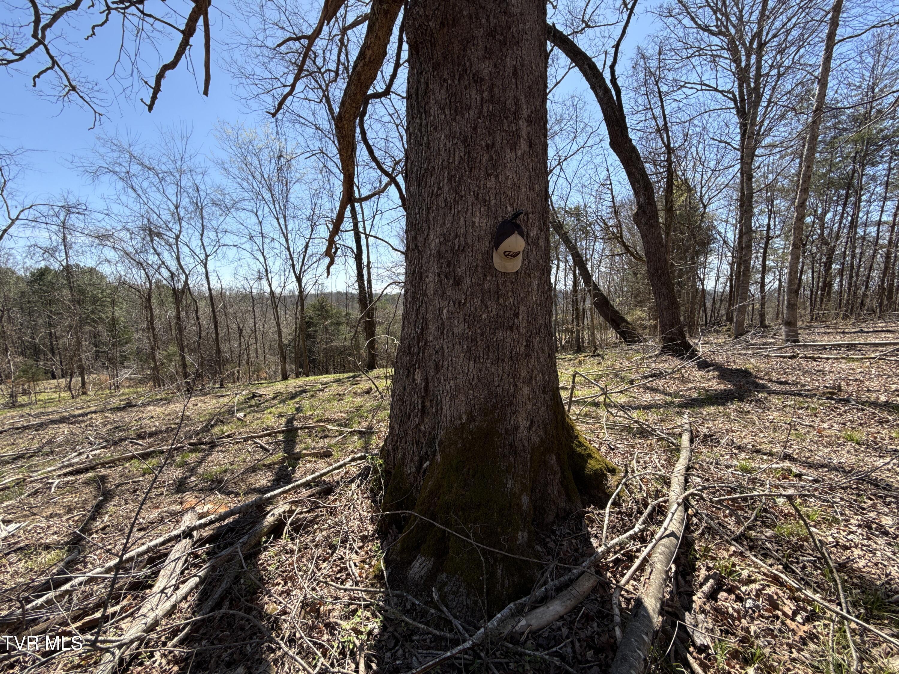 12315 Warrensburg Road Midway, TN 37809 - Photo 93 of 99 _Pic92