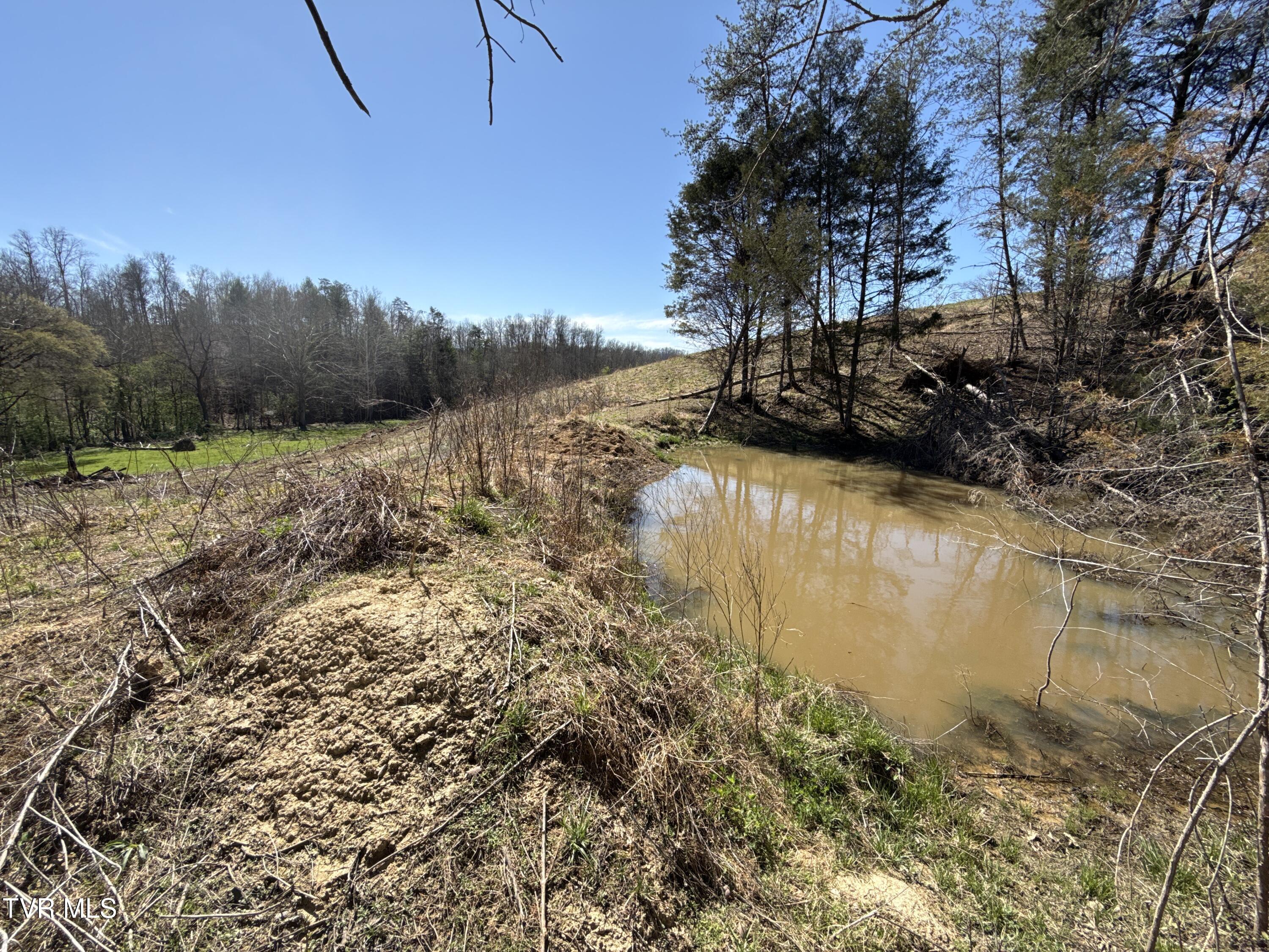 12315 Warrensburg Road Midway, TN 37809 - Photo 95 of 99 _Pic94