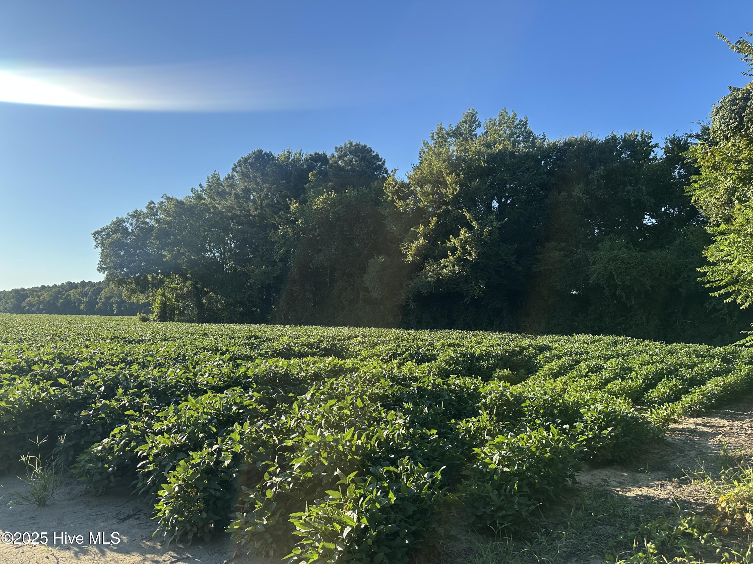 5355 Creech Road Lucama, NC 27851 - Photo 2 of 5 IMG_6109