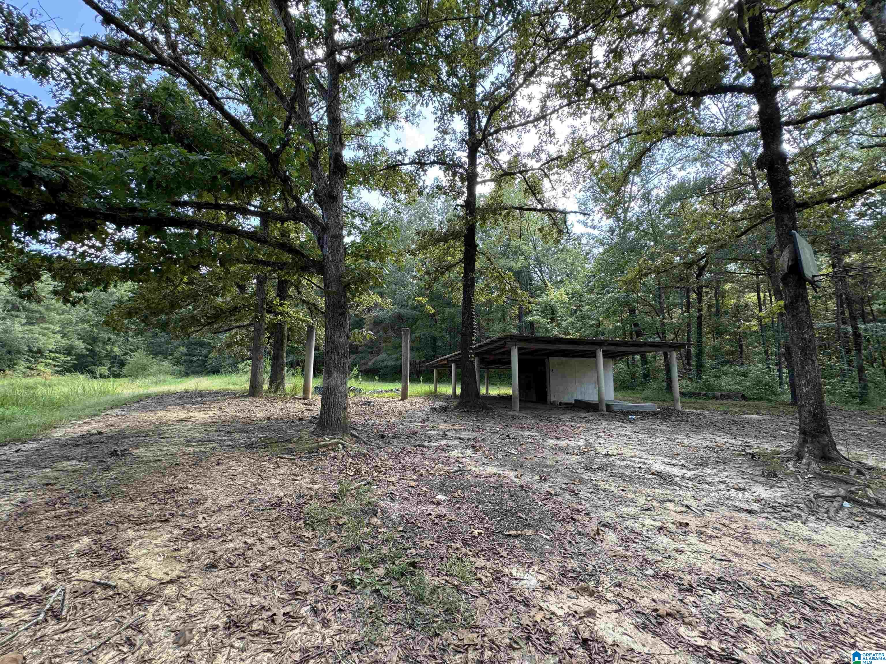 20394 County Road 55 Sterrett, AL 35147 - Photo 41 of 43