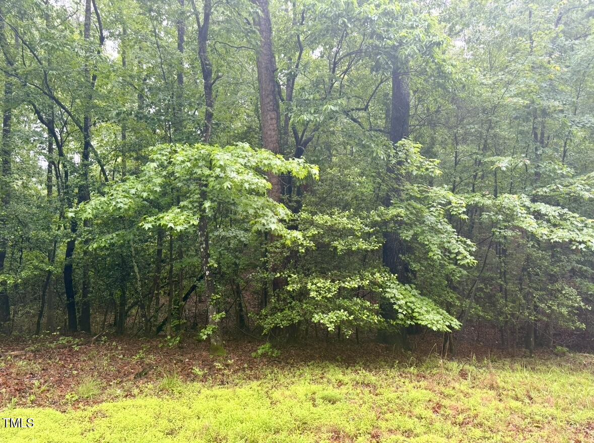 0 Chartres Street Fuquay-Varina, NC 27526 - Photo 2 of 4 a view of a yard