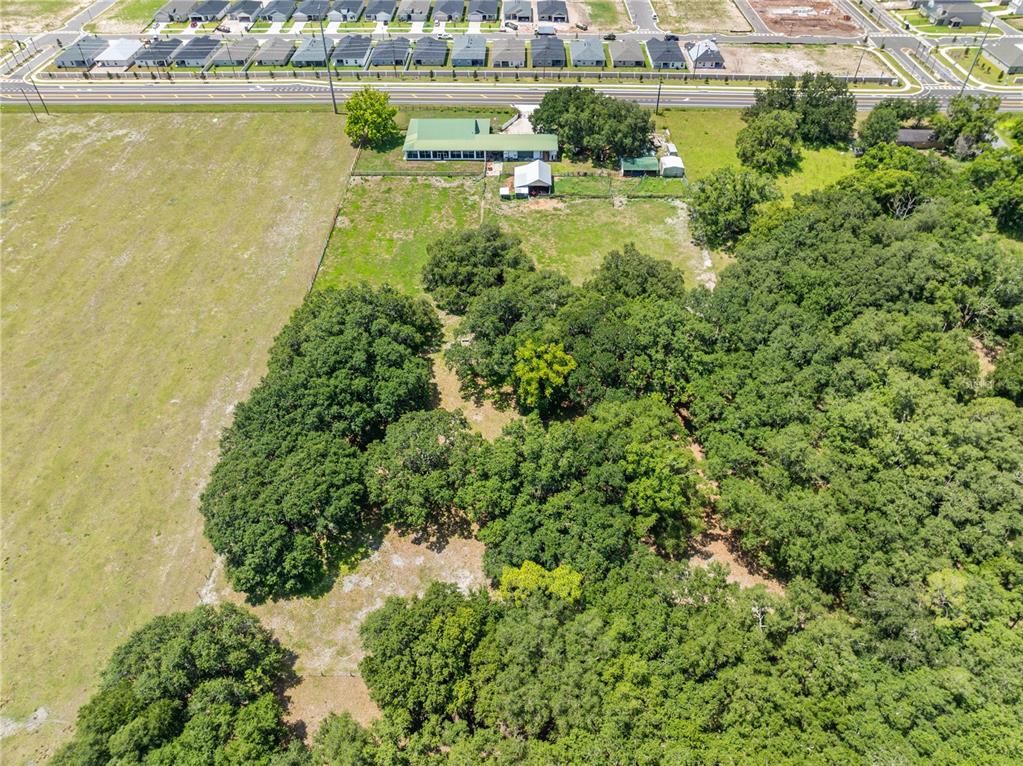 0 Hickory Tree Rd Street, Unit 34772 St. Cloud, FL 34771 - Photo 11 of 14