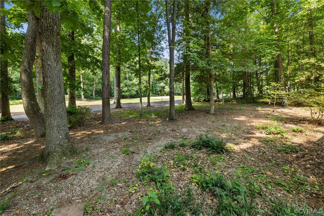 3828 Timber Ridge Road Midlothian, VA 23112 - Photo 29 of 34 a view of a tree in the middle of a yard