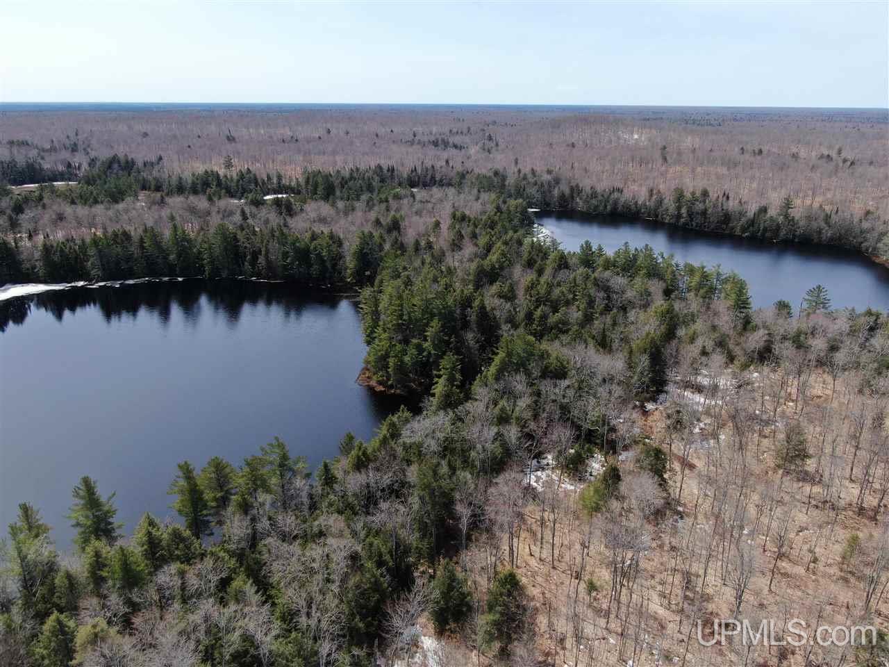 0 Old Seney Road Seney, MI 49883 - Photo 8 of 31