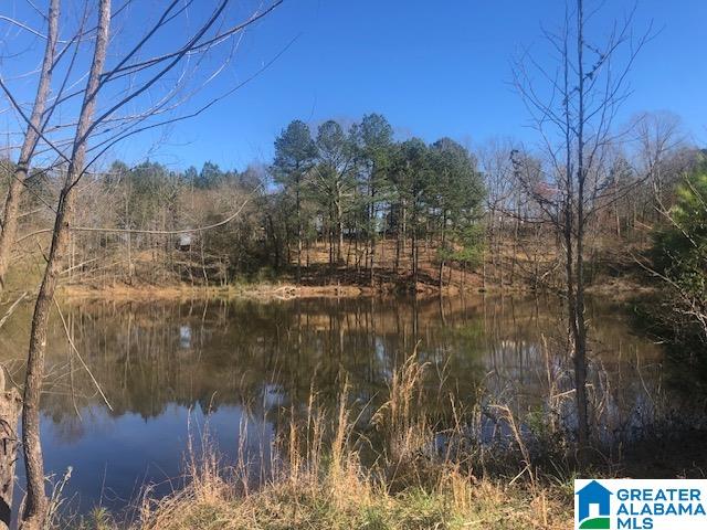 0 Shady Point Road, Unit 18 18 & 19 Locust Fork, AL 35097 - Photo 2 of 26