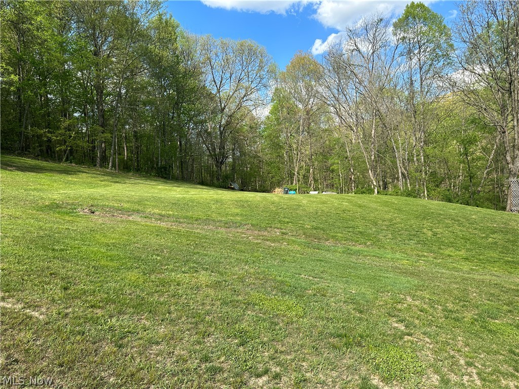 4041 Gray Road Kimbolton, OH 43749 - Photo 16 of 32 View of yard