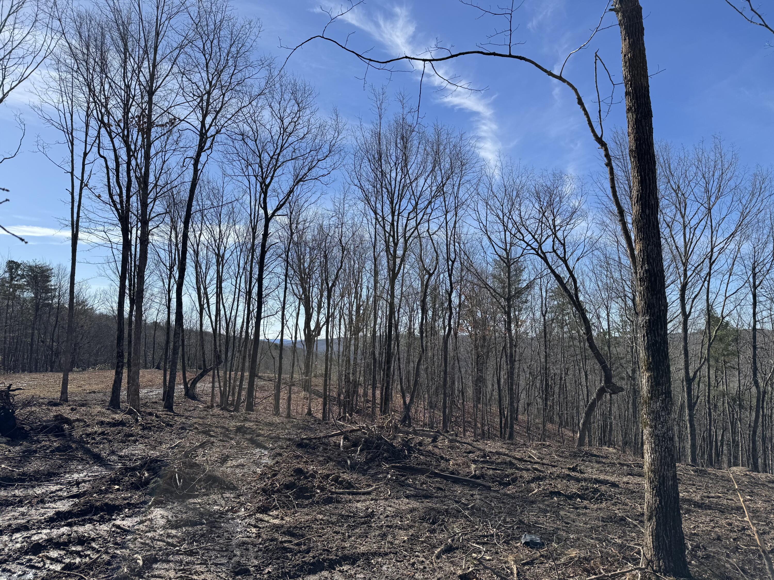 0 Hobbstown Road, Unit LOT 7 Dunlap, TN 37327 - Photo 12 of 47 IMG_6699