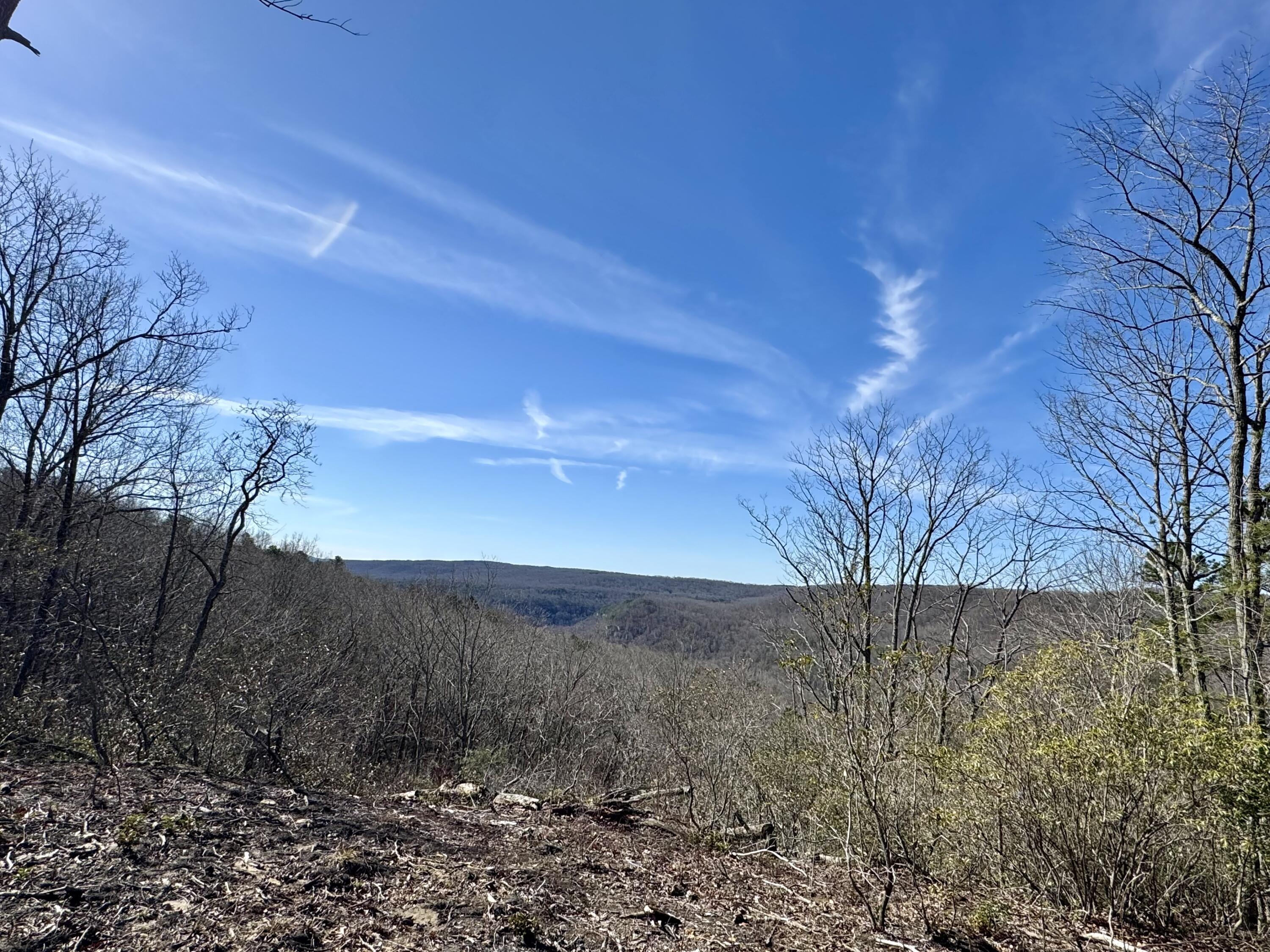 0 Hobbstown Road, Unit LOT 7 Dunlap, TN 37327 - Photo 13 of 47 IMG_6697