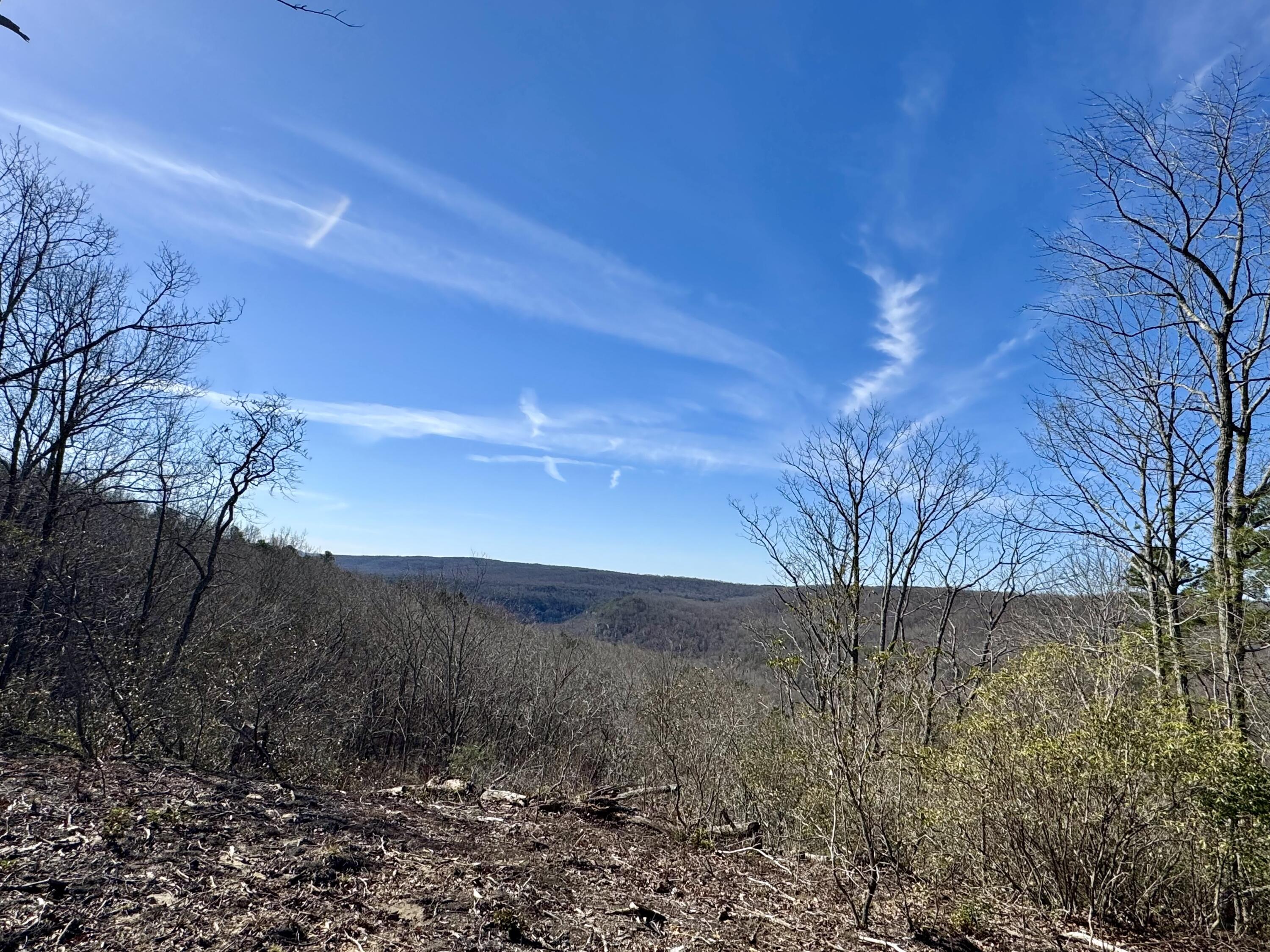 0 Hobbstown Road, Unit LOT 7 Dunlap, TN 37327 - Photo 15 of 47 IMG_6696